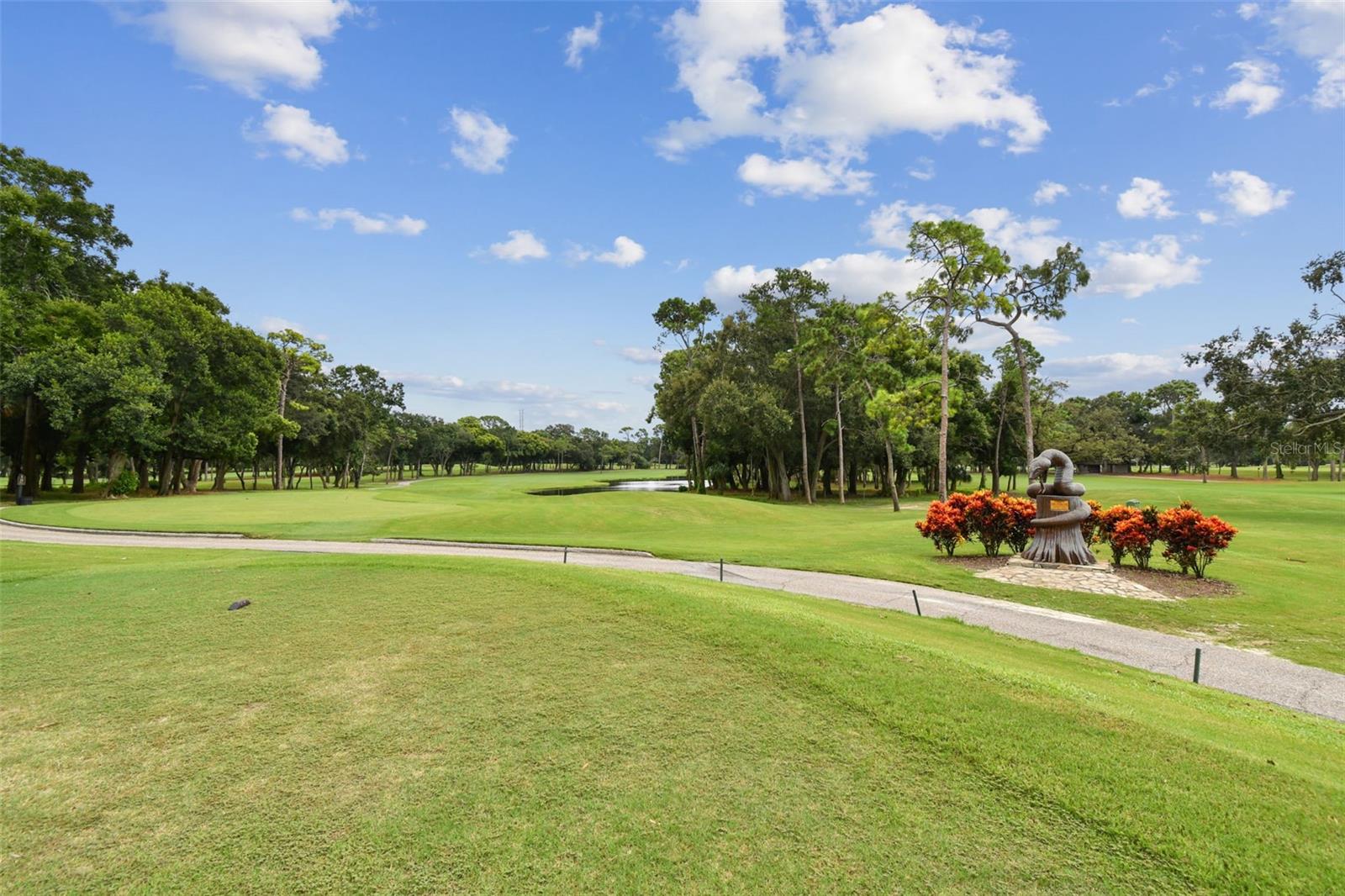 36750 US HIGHWAY 19 N #13-109