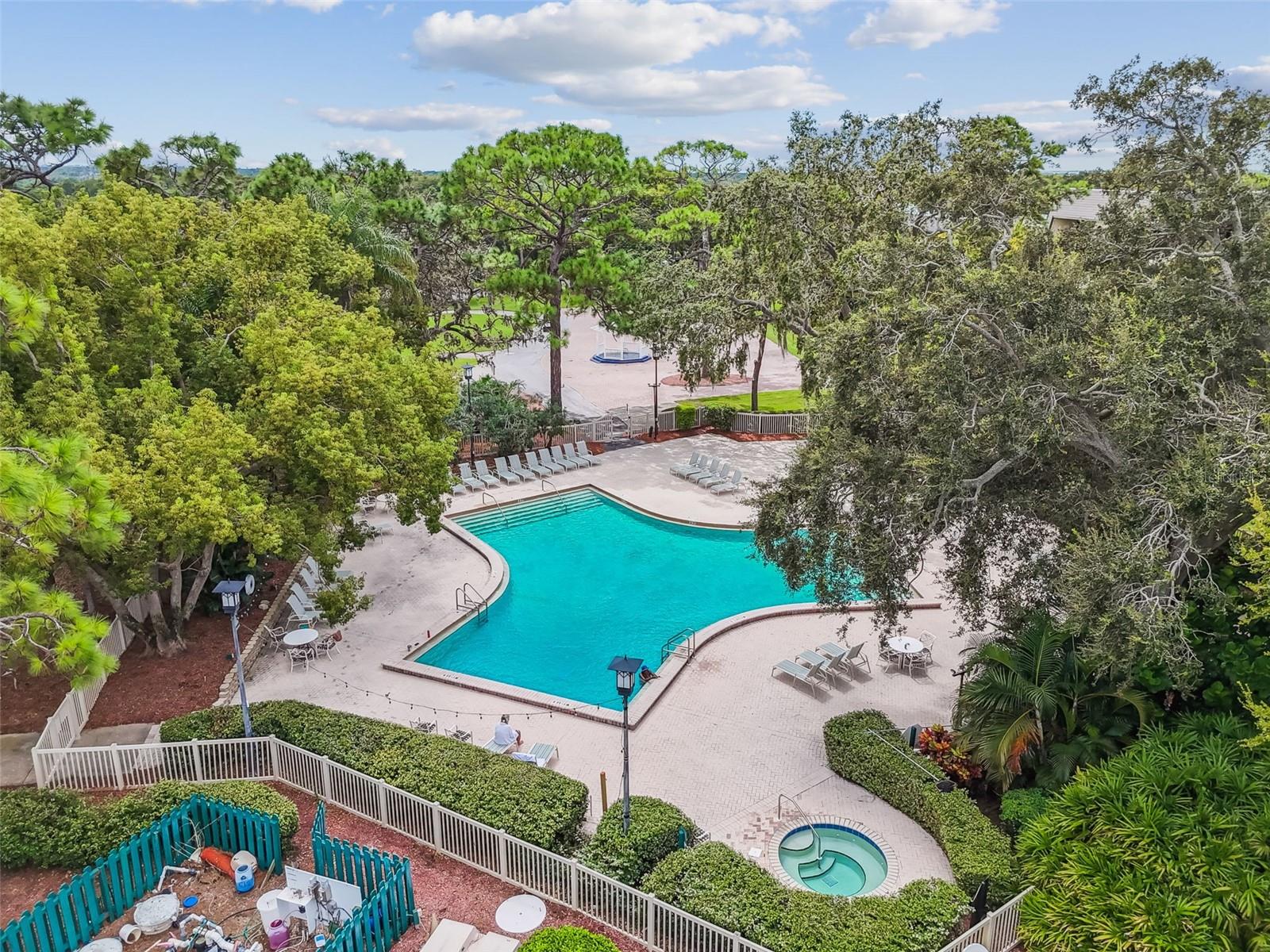 36750 US HIGHWAY 19 N #13-109