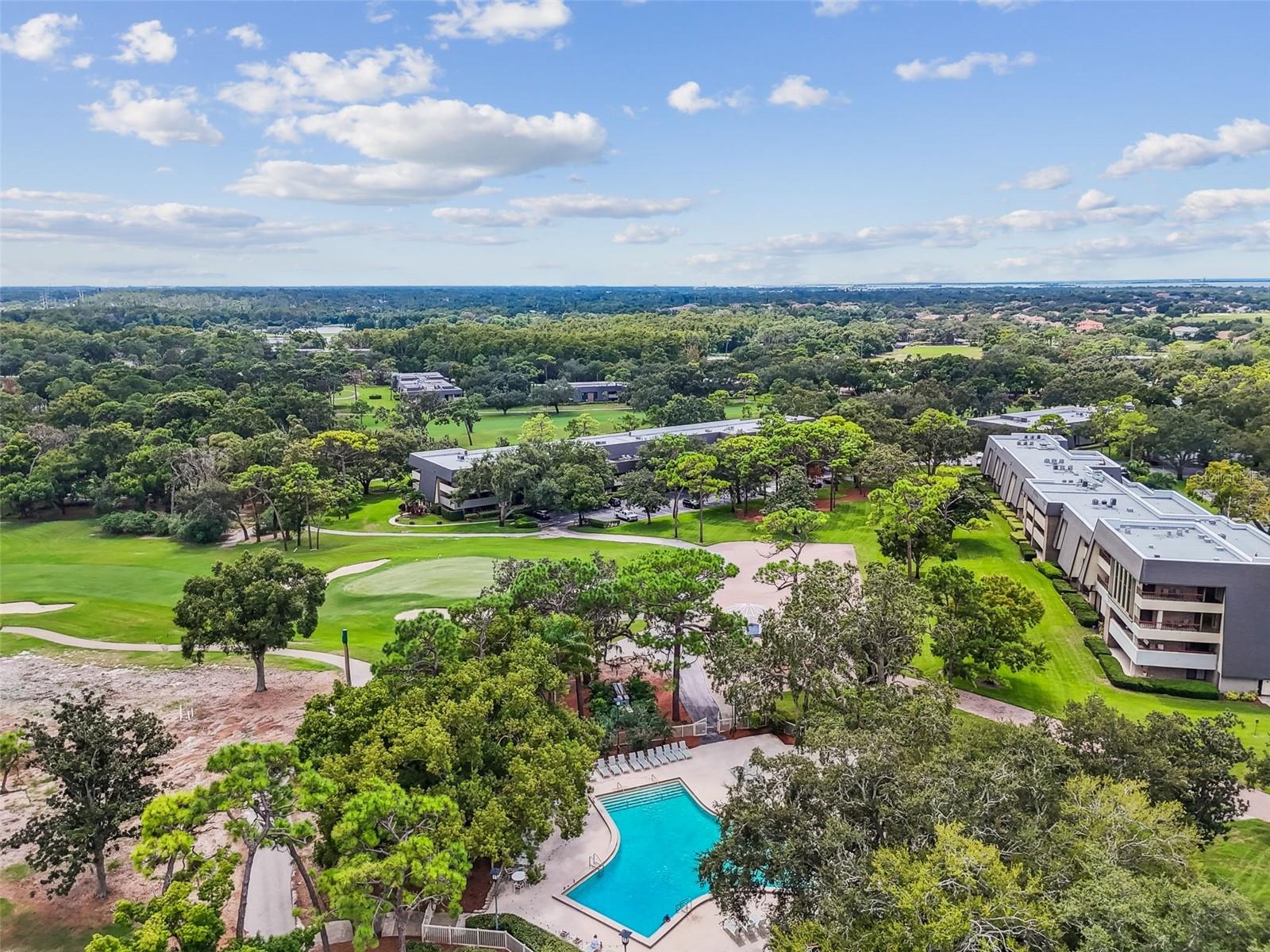 36750 US HIGHWAY 19 N #13-109