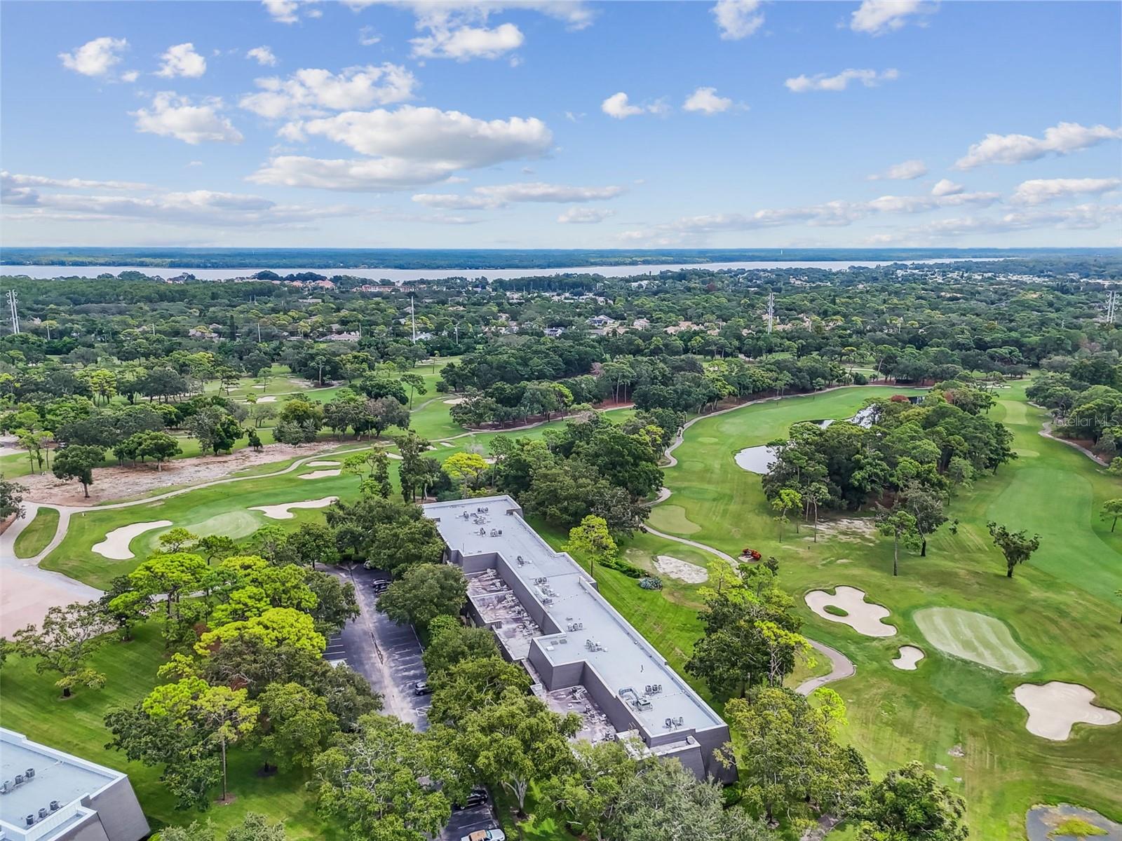 36750 US HIGHWAY 19 N #13-109