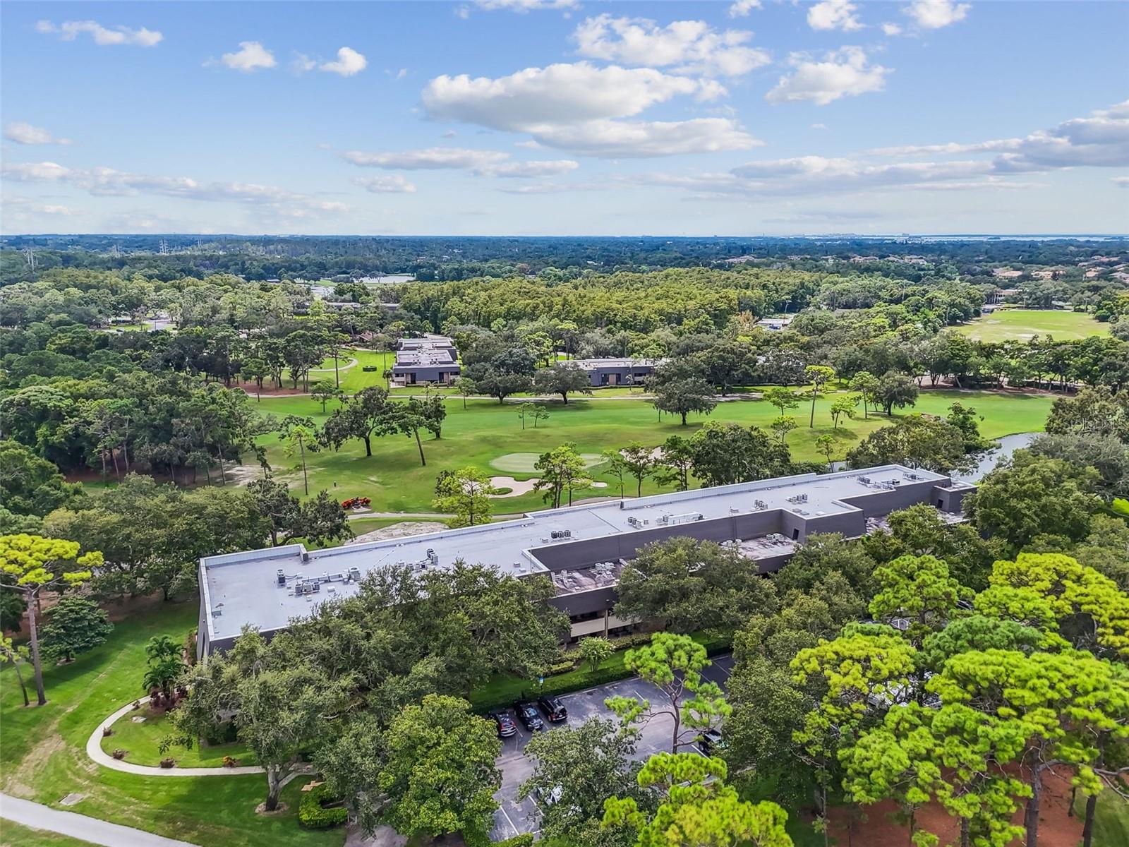 36750 US HIGHWAY 19 N #13-109