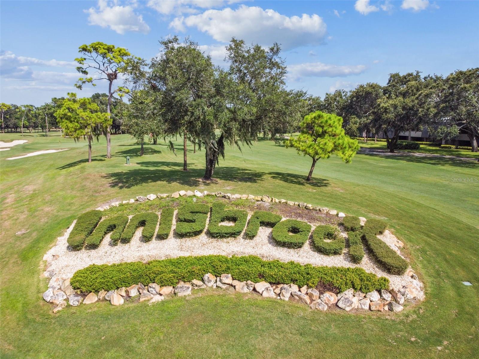 36750 US HIGHWAY 19 N #13-109