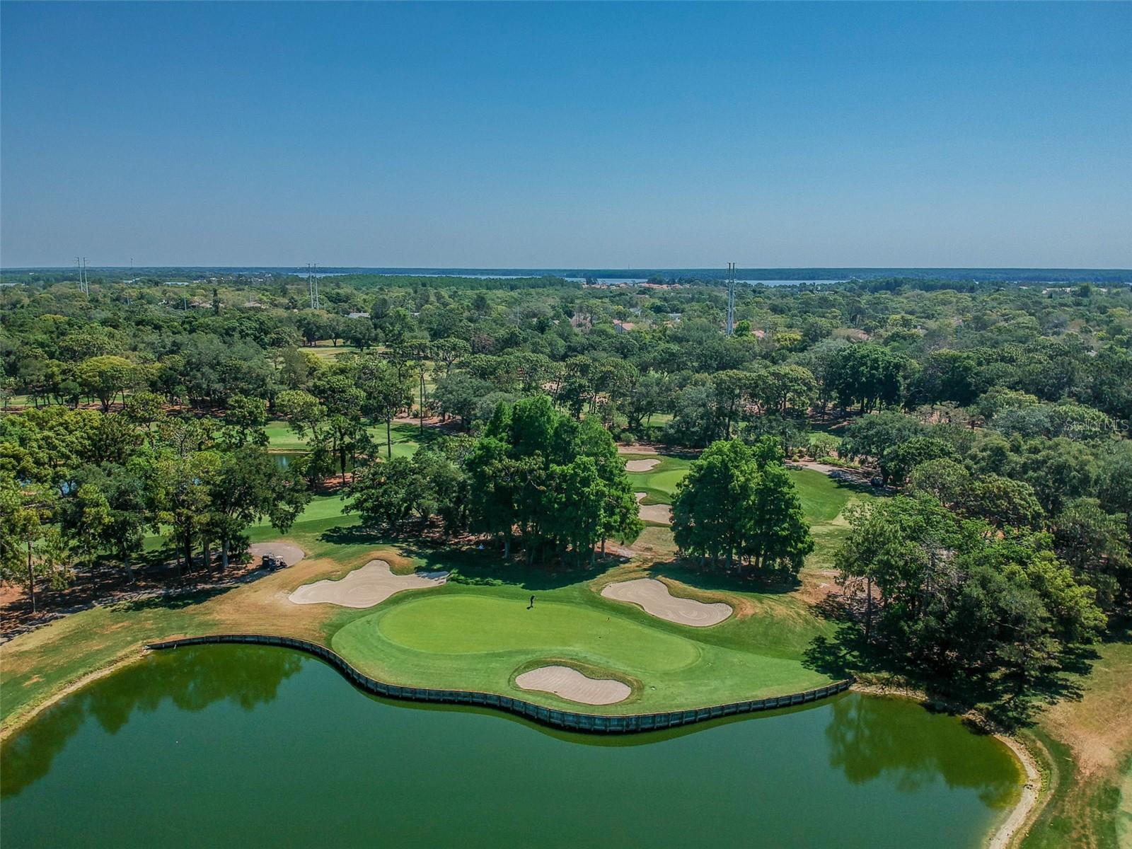 36750 US HIGHWAY 19 N #13-109