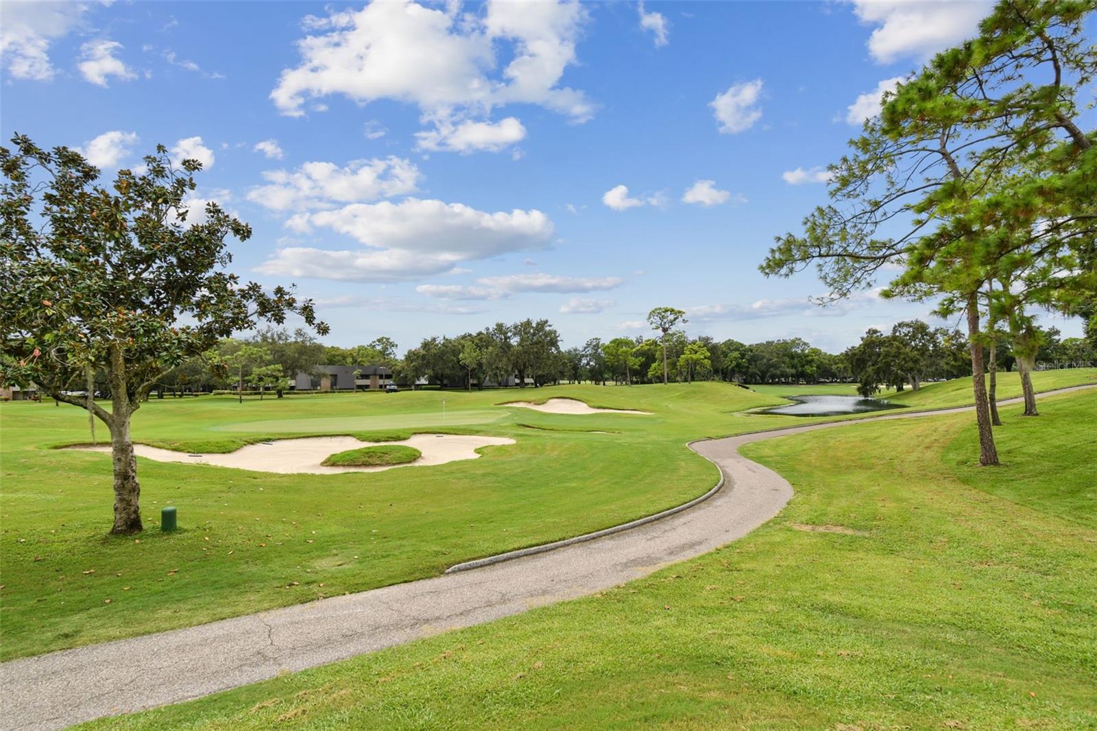 36750 US HIGHWAY 19 N #13-109