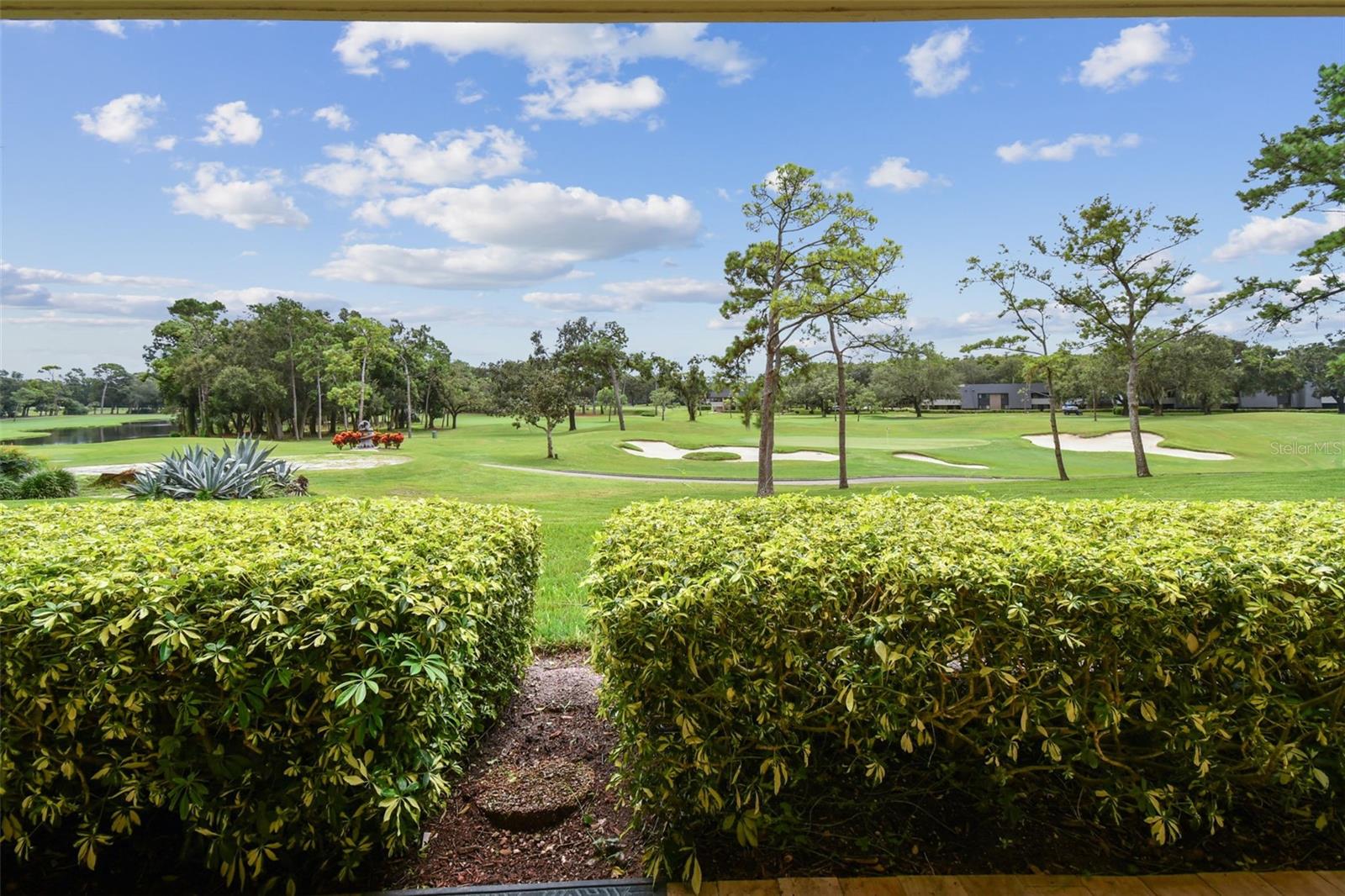 36750 US HIGHWAY 19 N #13-109