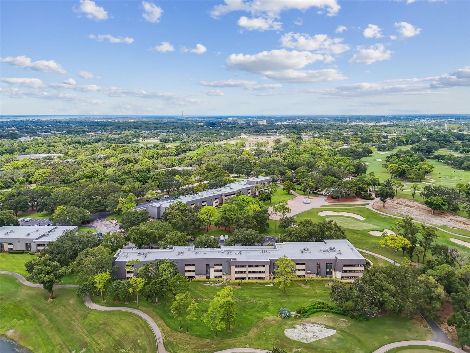 36750 US HIGHWAY 19 N #13-109