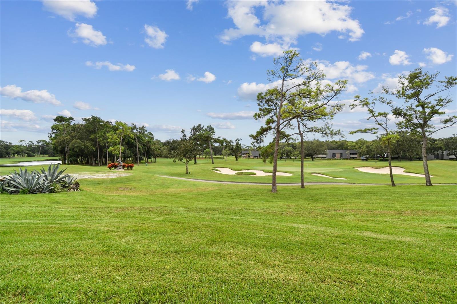 36750 US HIGHWAY 19 N #13-109