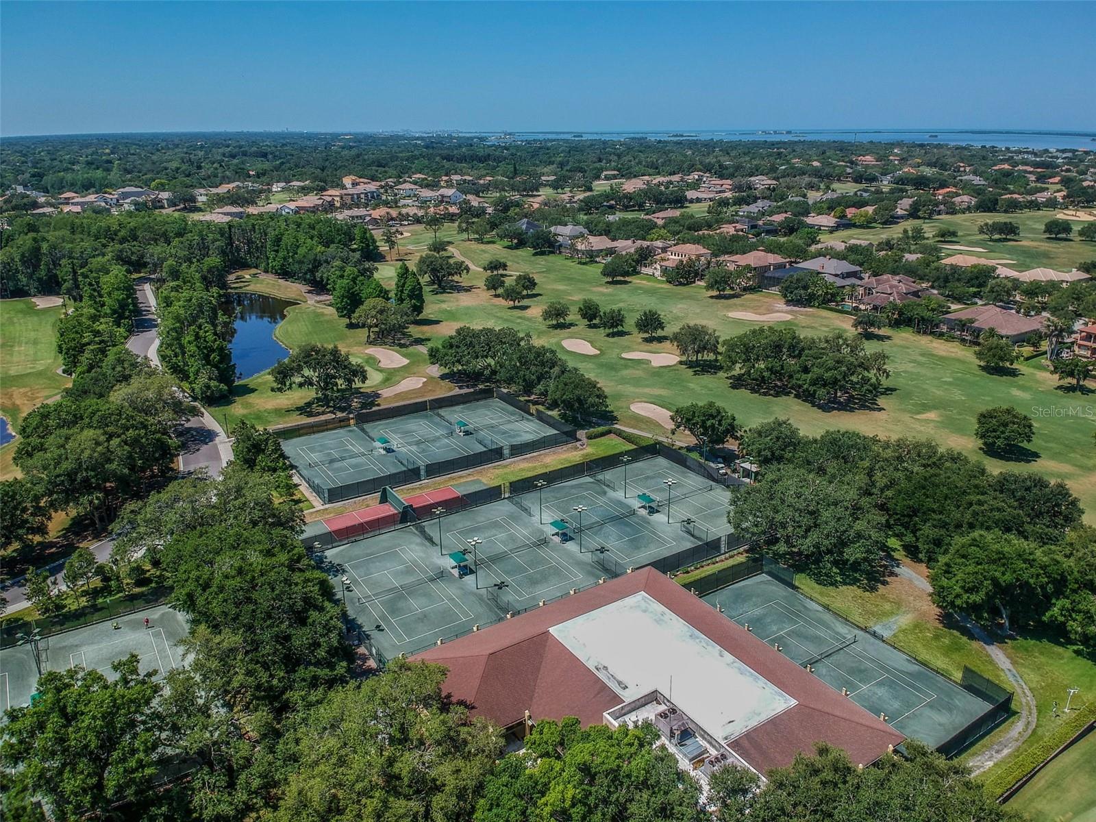 36750 US HIGHWAY 19 N #13-109