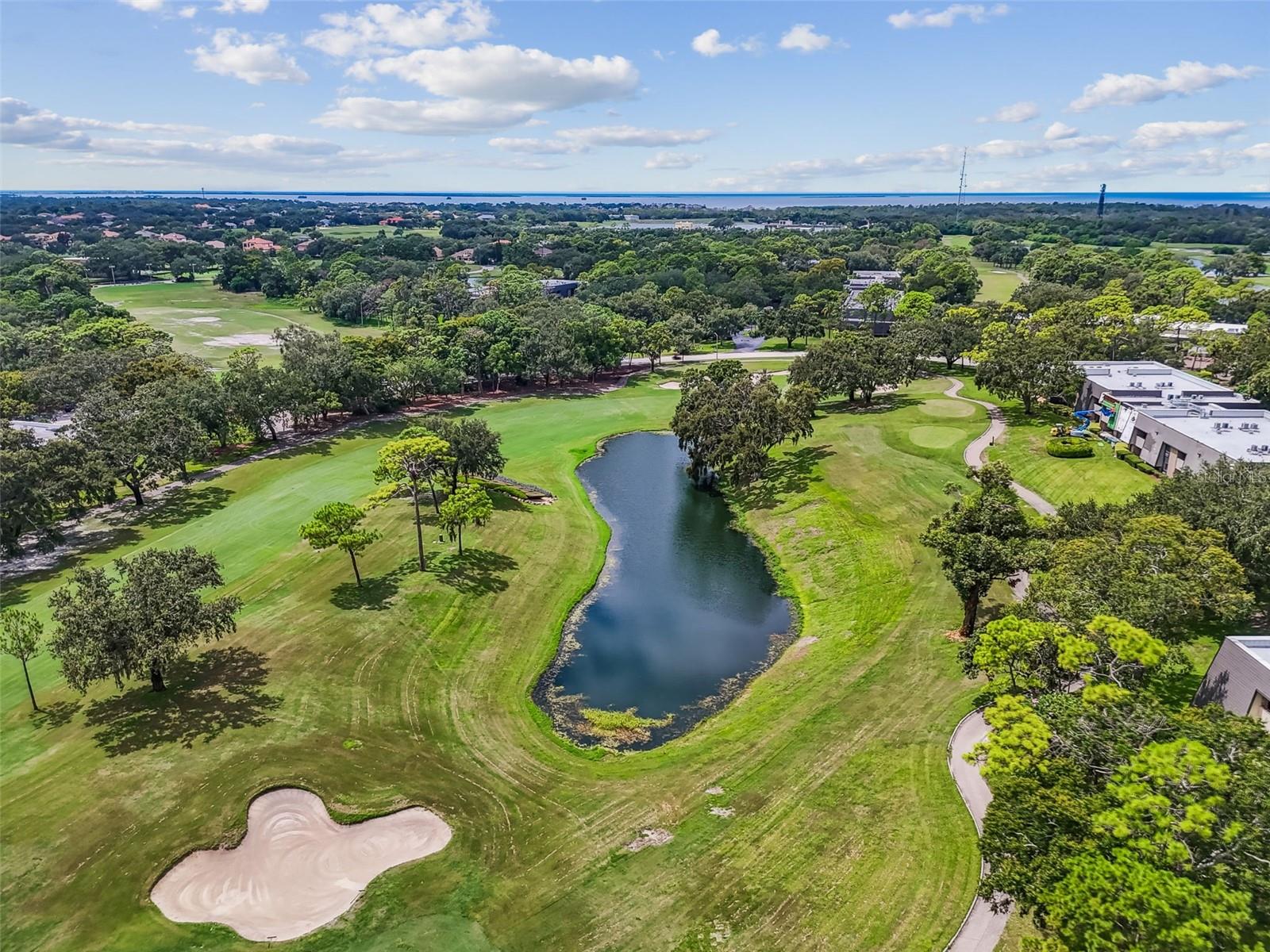 36750 US HIGHWAY 19 N #13-109