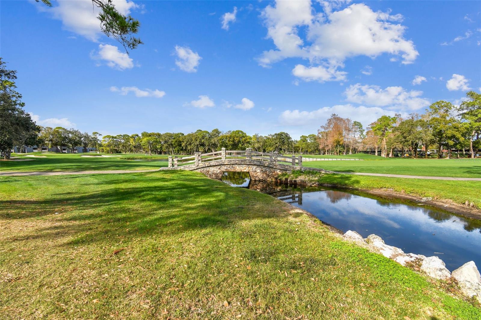 36750 US HIGHWAY 19 N #13-109