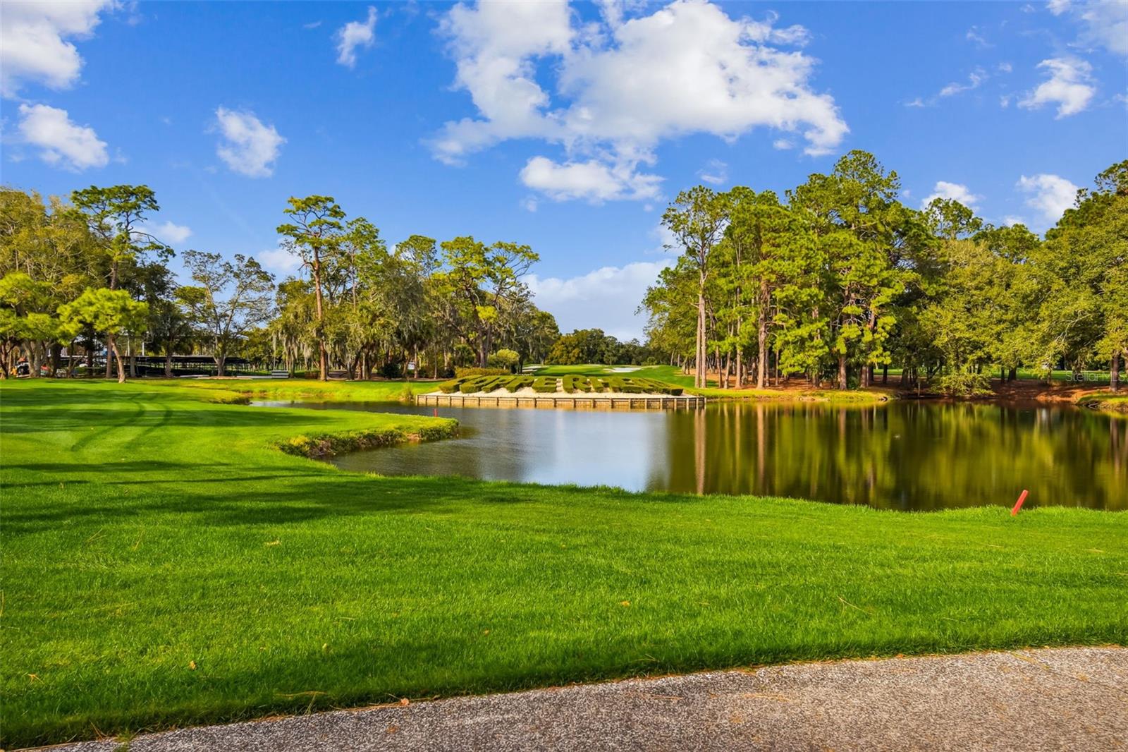 36750 US HIGHWAY 19 N #13-109