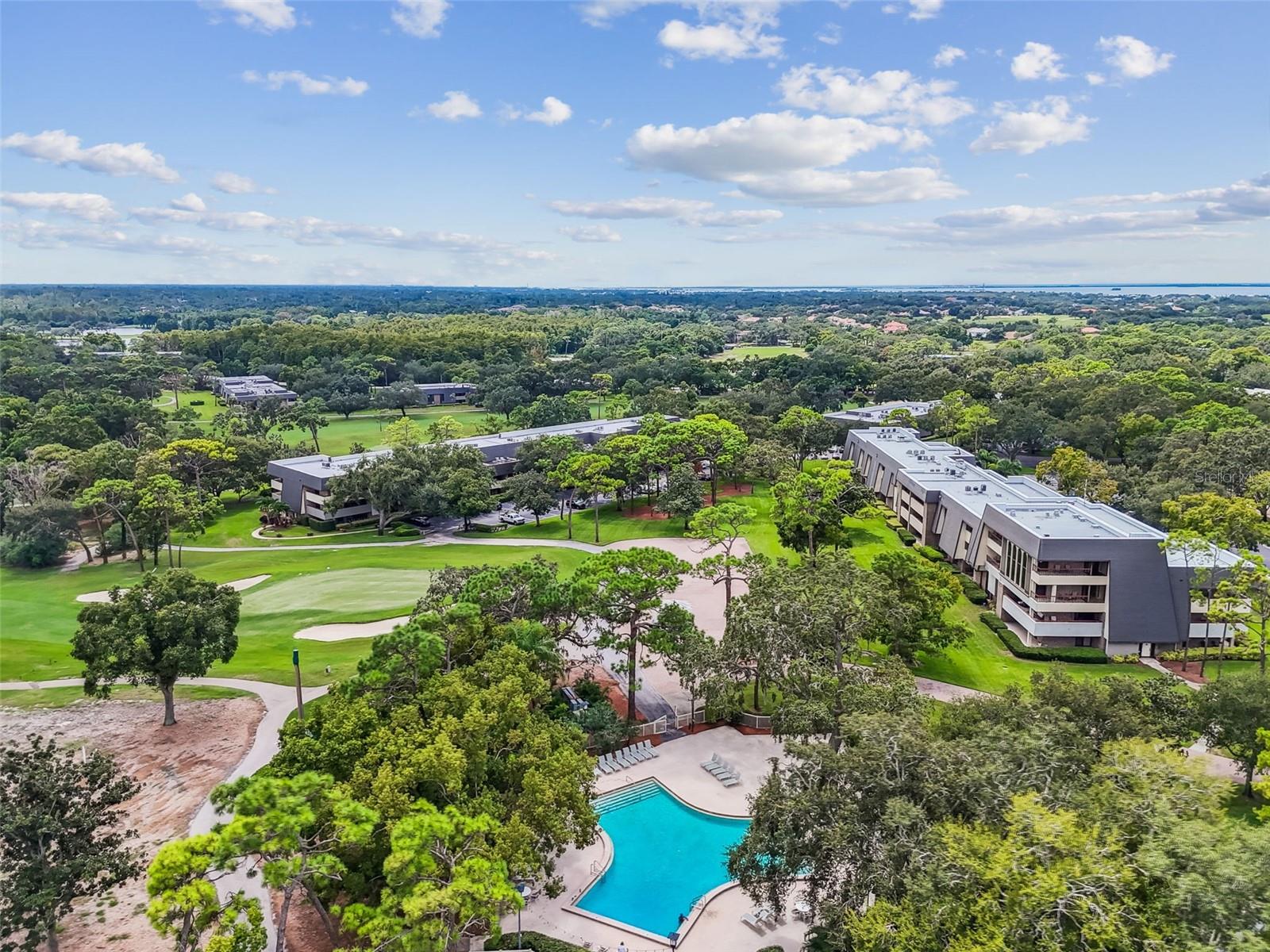 36750 US HIGHWAY 19 N #13-109