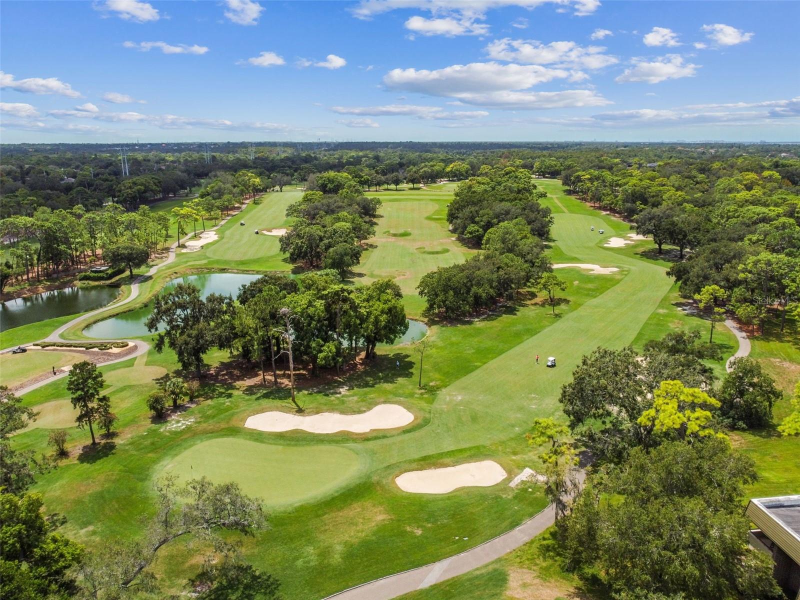 36750 US HIGHWAY 19 N #13-109