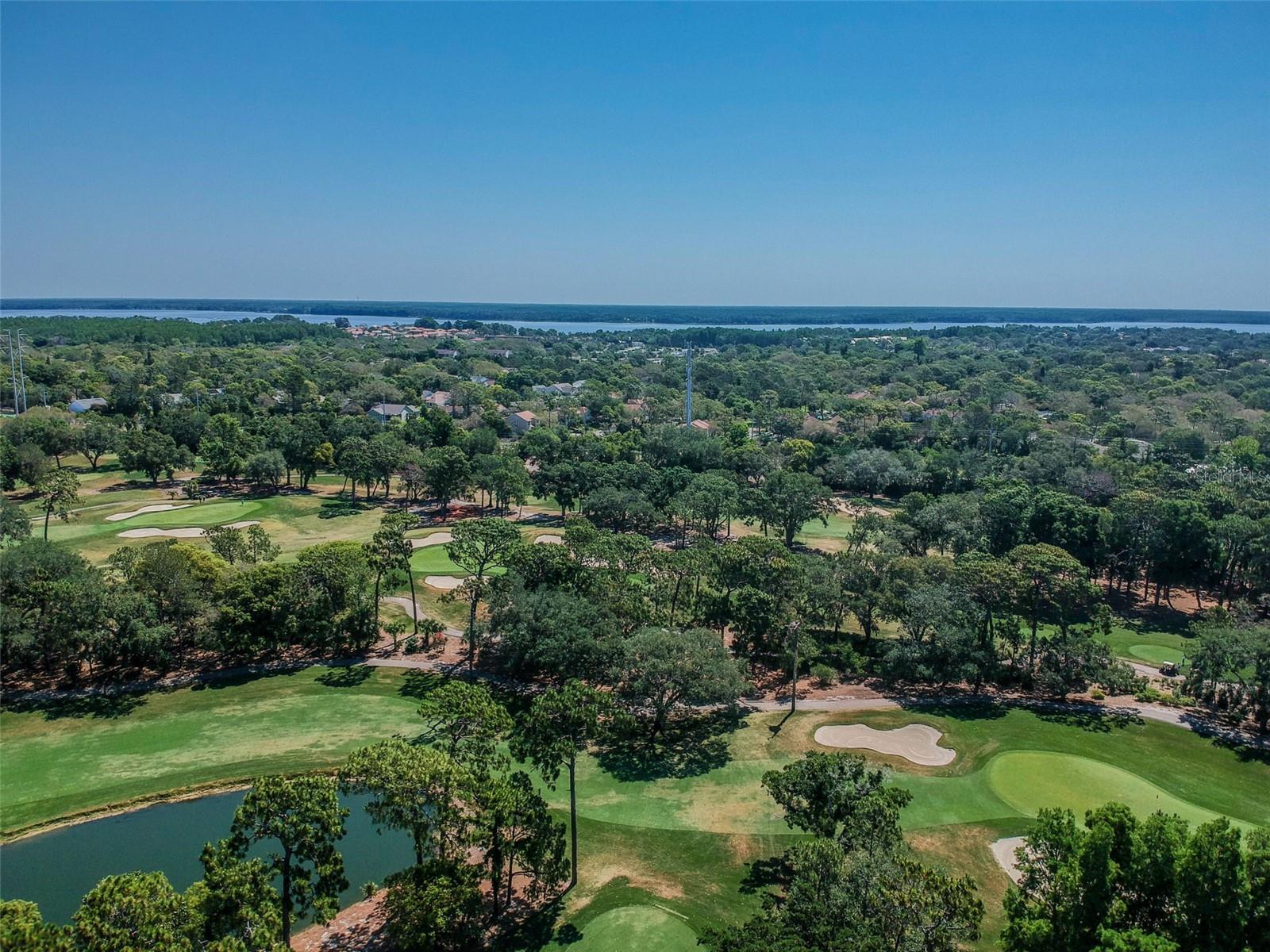 36750 US HIGHWAY 19 N #13-109