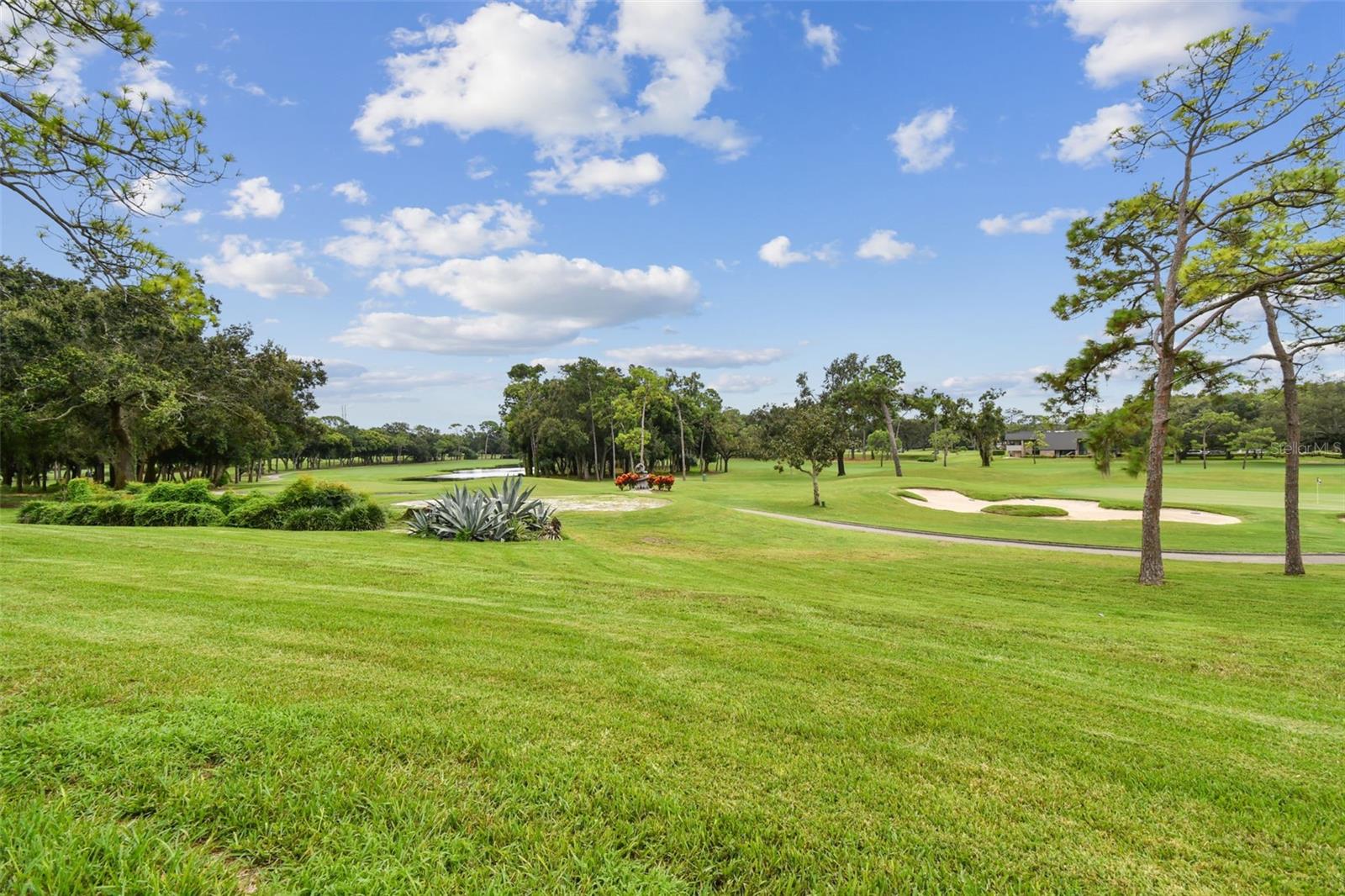 36750 US HIGHWAY 19 N #13-109