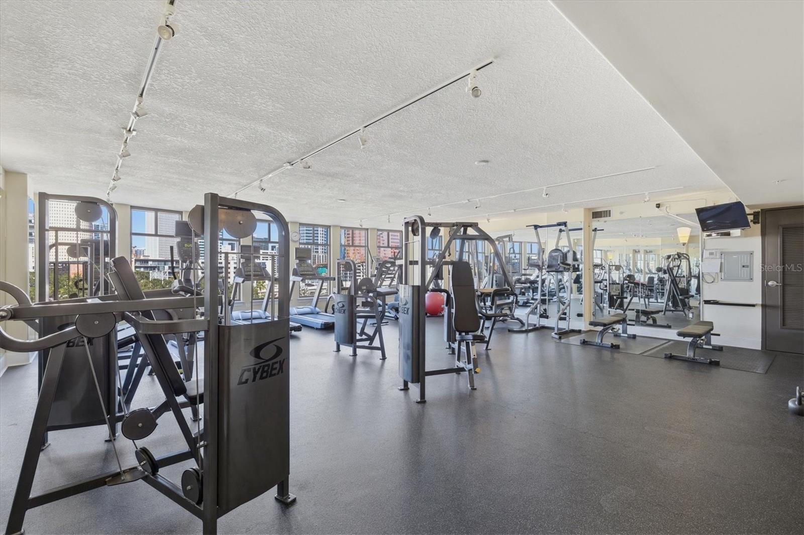 275 BAYSHORE BLVD #905