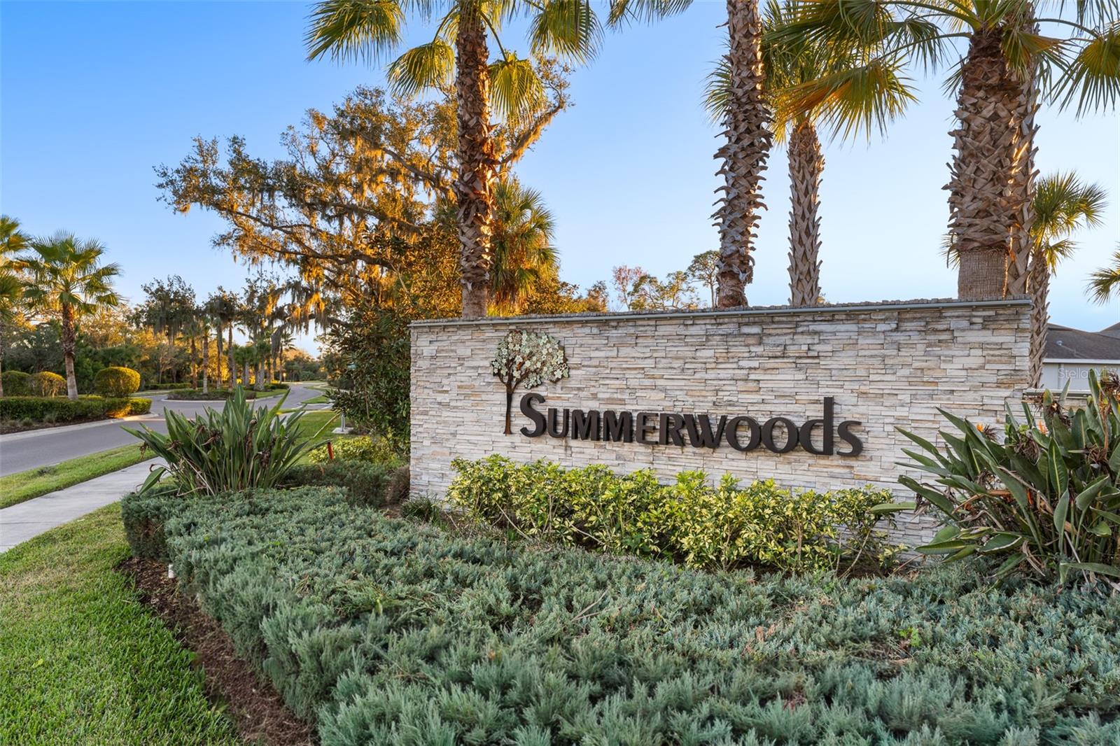 8724 STARRY NIGHT TER