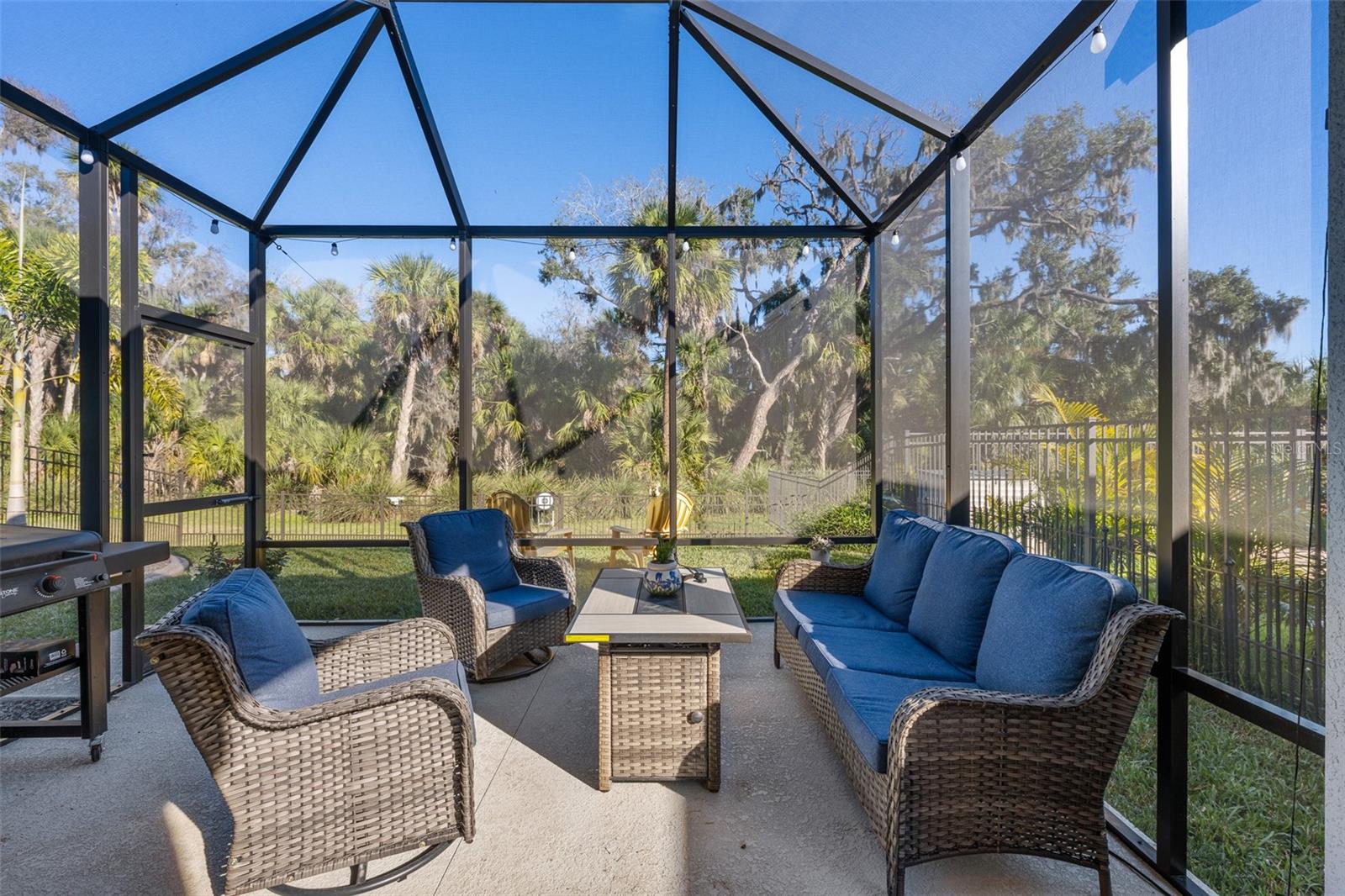 8724 STARRY NIGHT TER