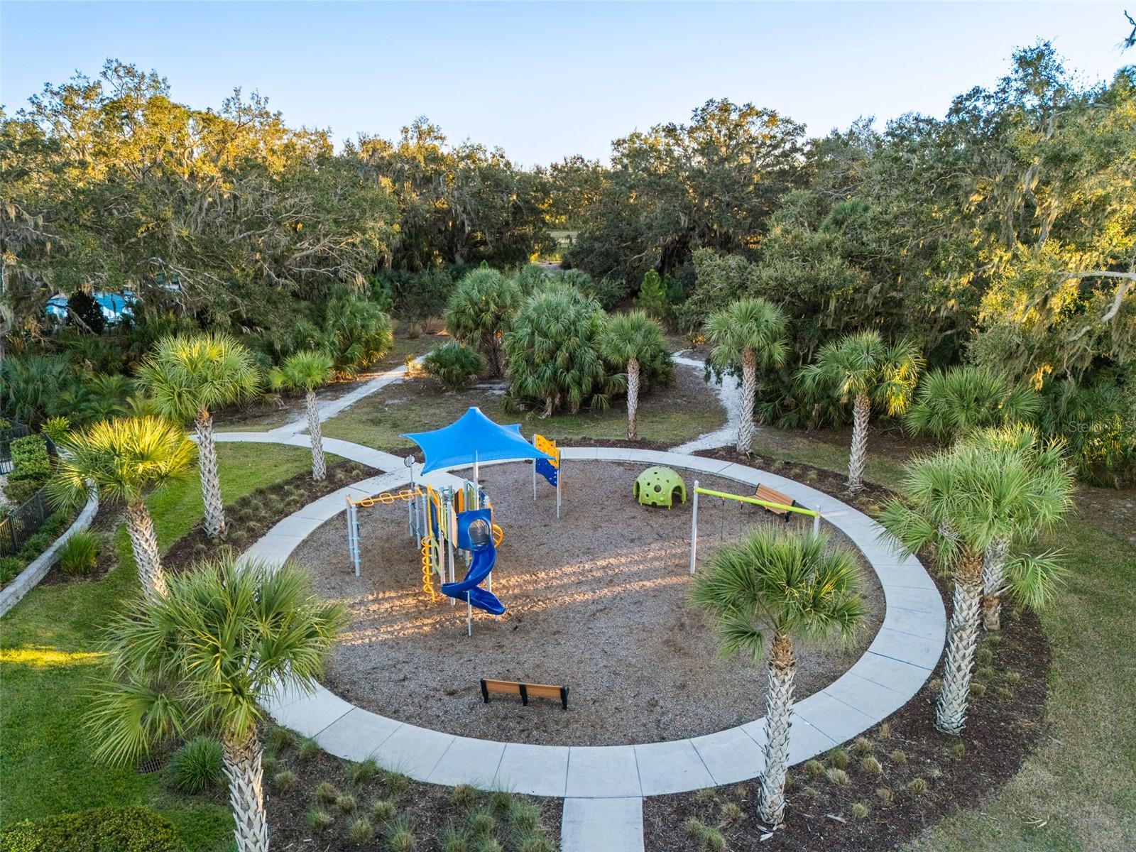 8724 STARRY NIGHT TER