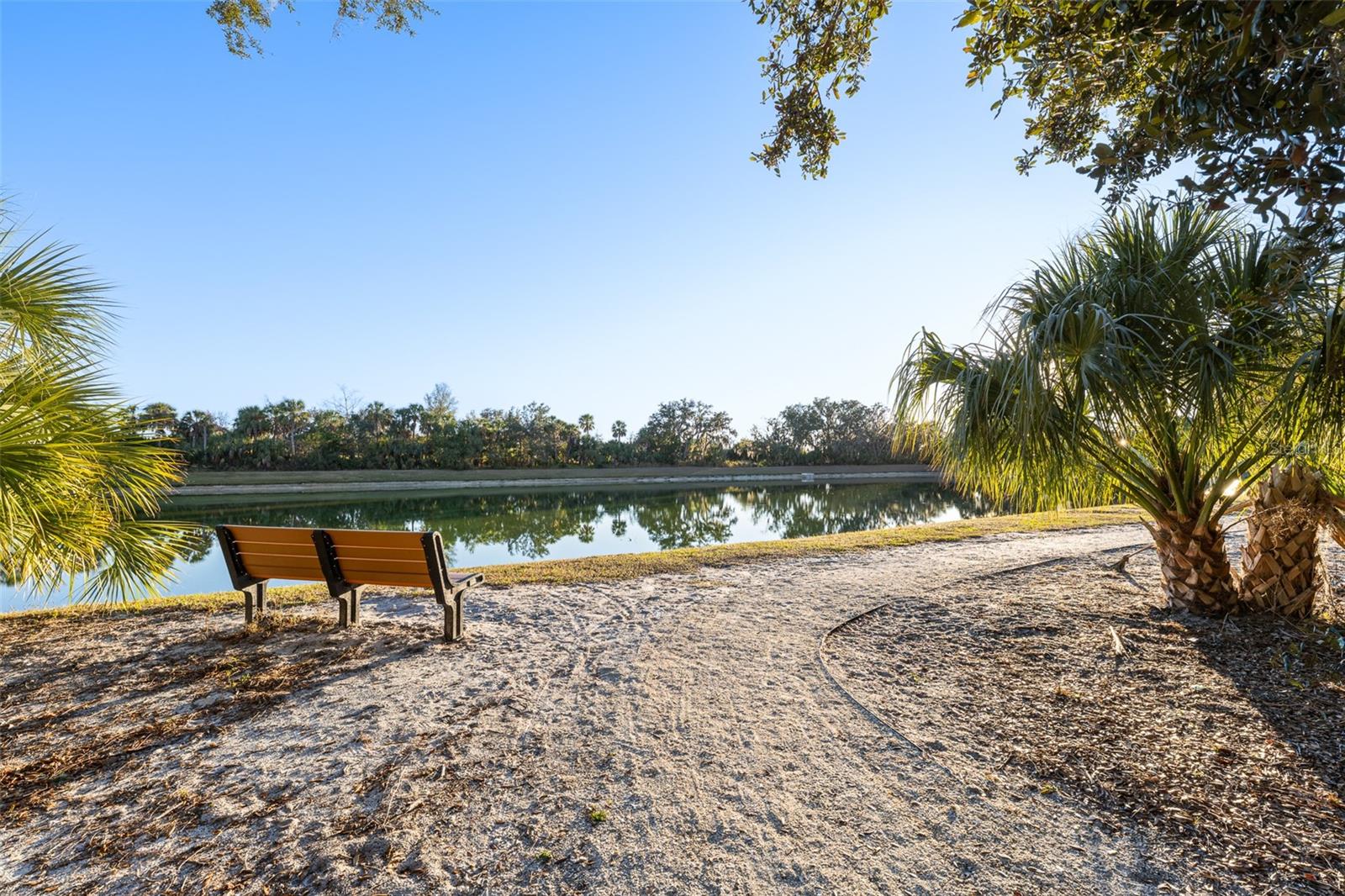 8724 STARRY NIGHT TER