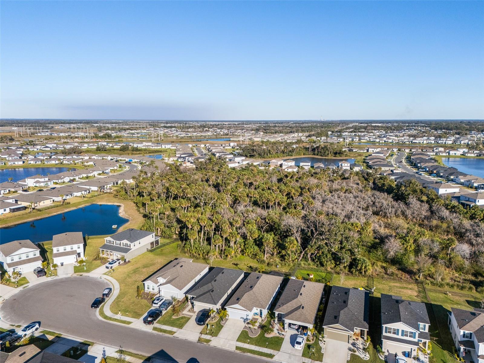 8724 STARRY NIGHT TER