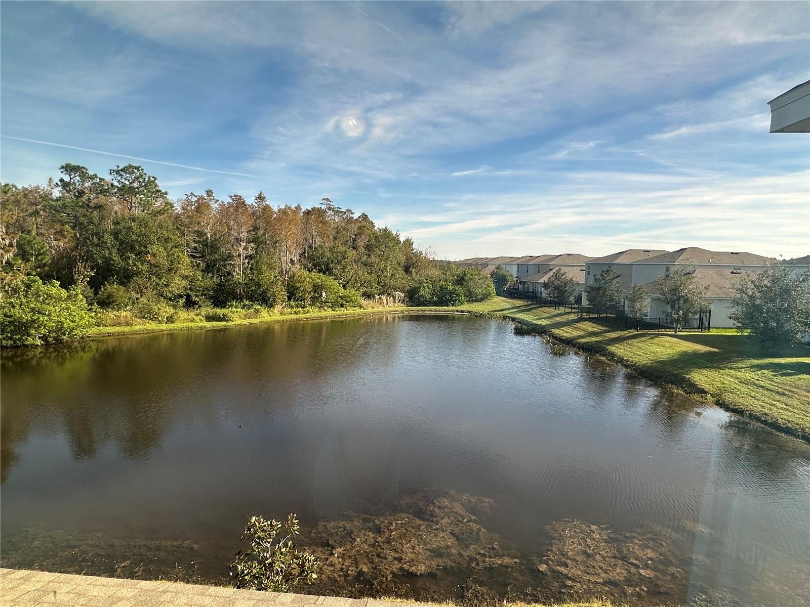 2834 SUNCOAST BLEND DR
