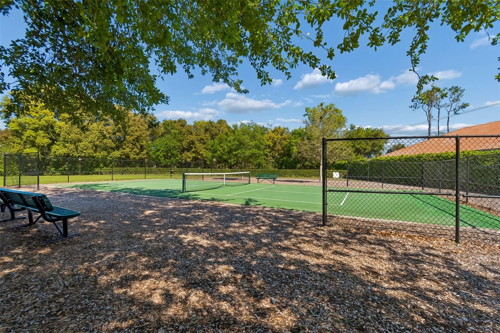 17008 MADRES DE AVILA