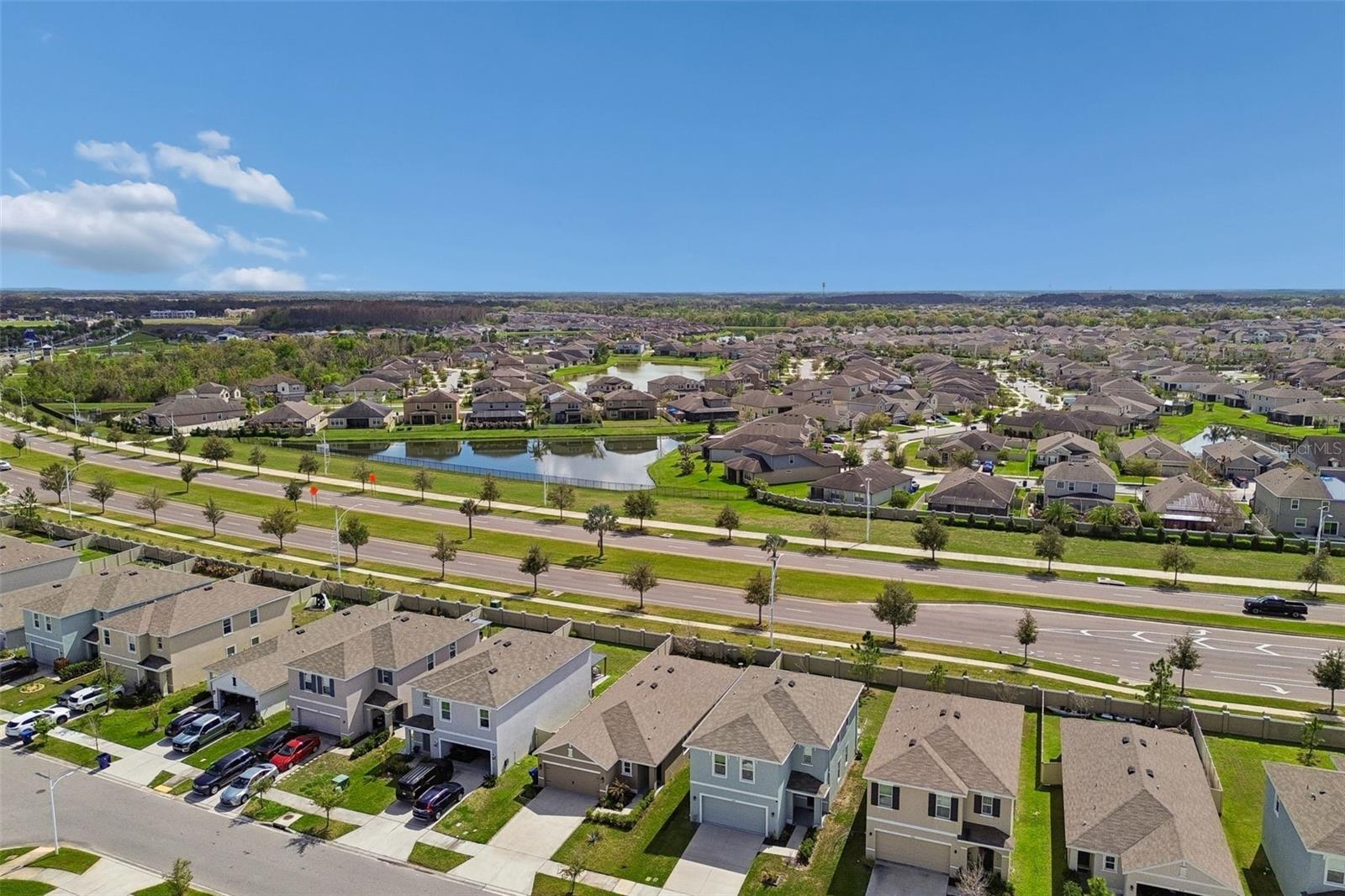 31378 PENNY SURF LOOP