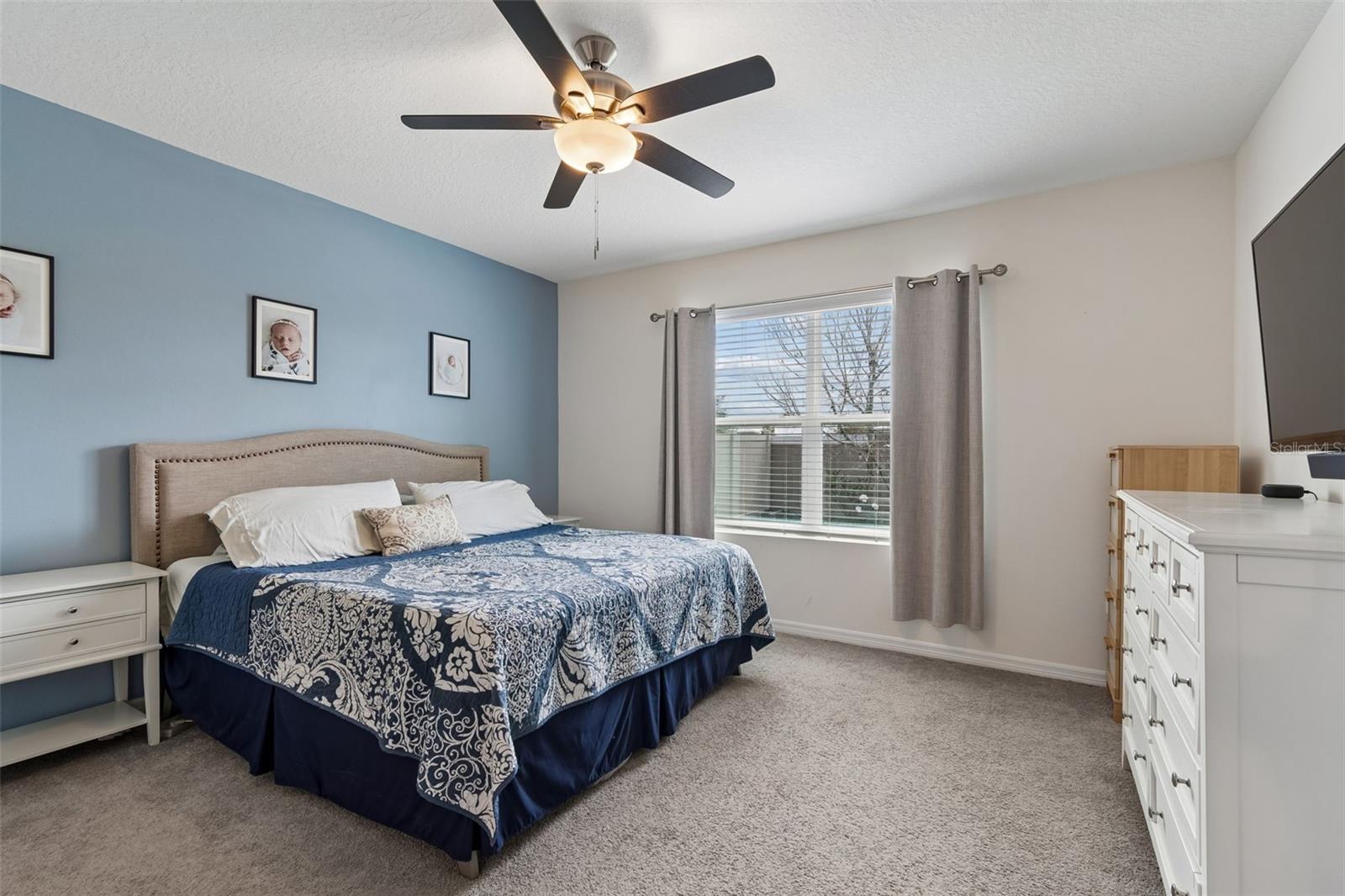 31378 PENNY SURF LOOP