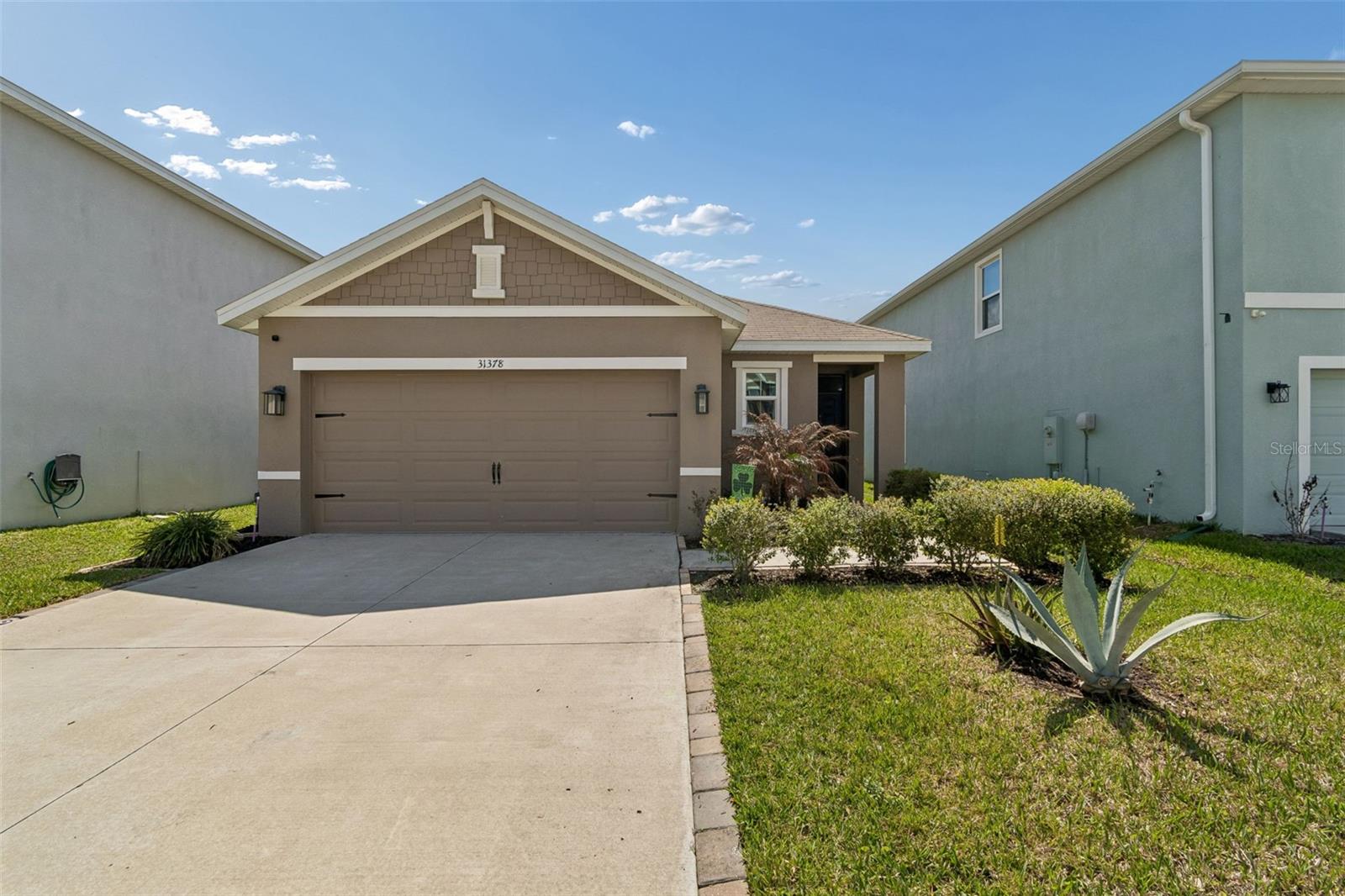 31378 PENNY SURF LOOP