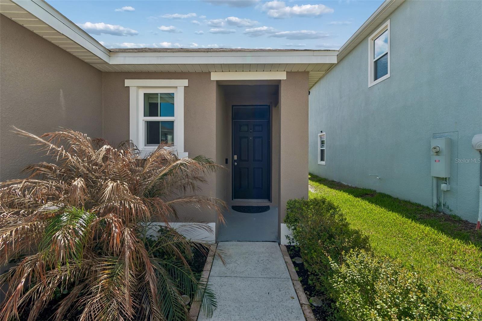 31378 PENNY SURF LOOP