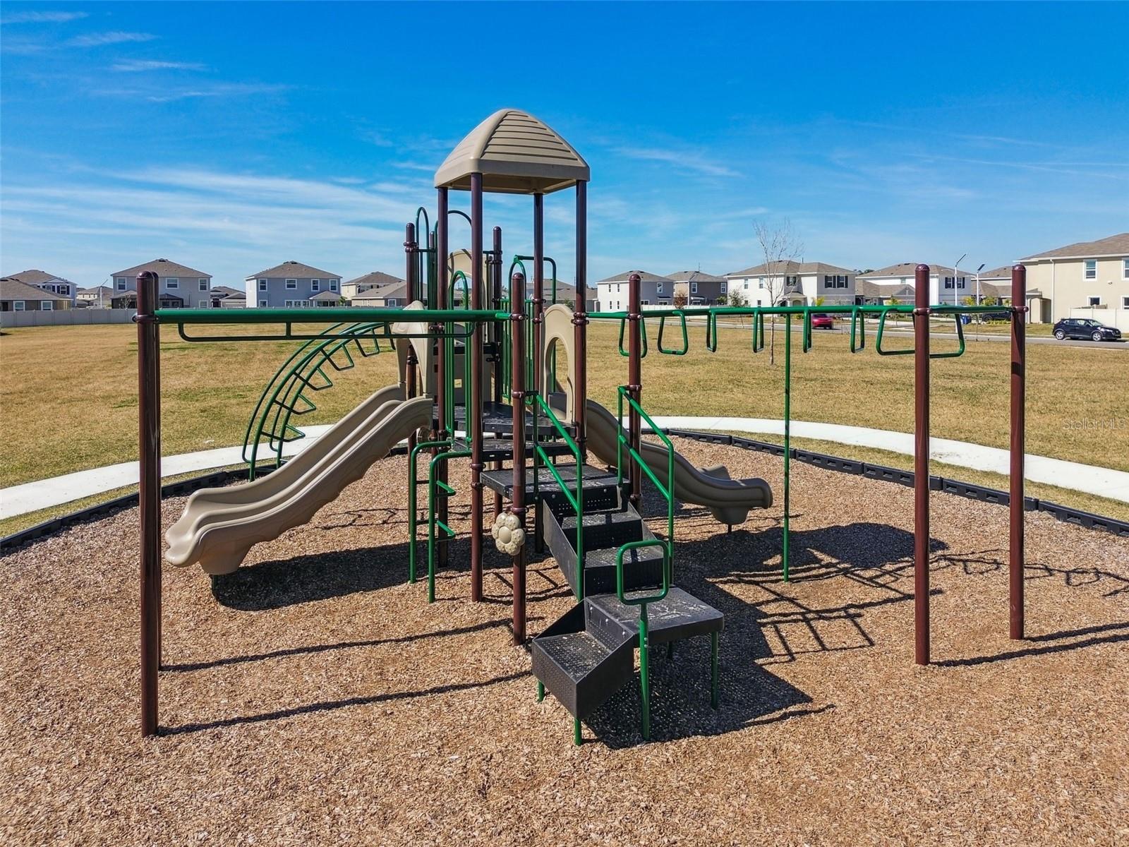 31378 PENNY SURF LOOP