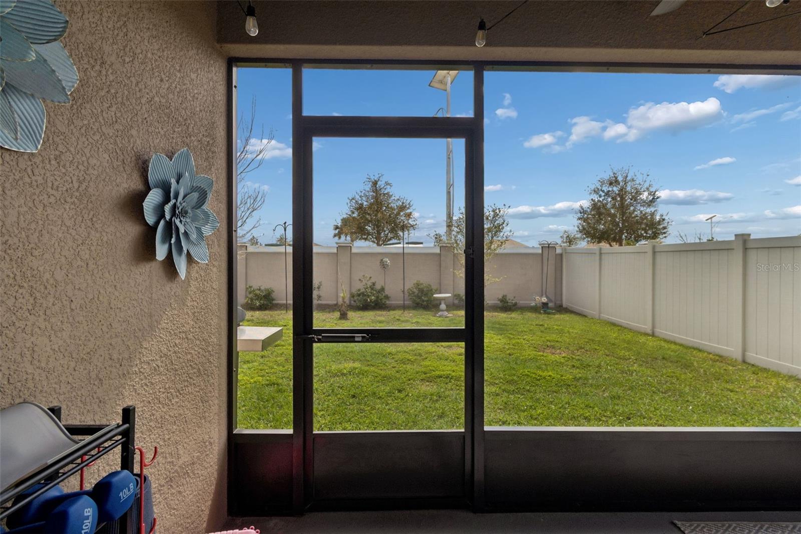 31378 PENNY SURF LOOP