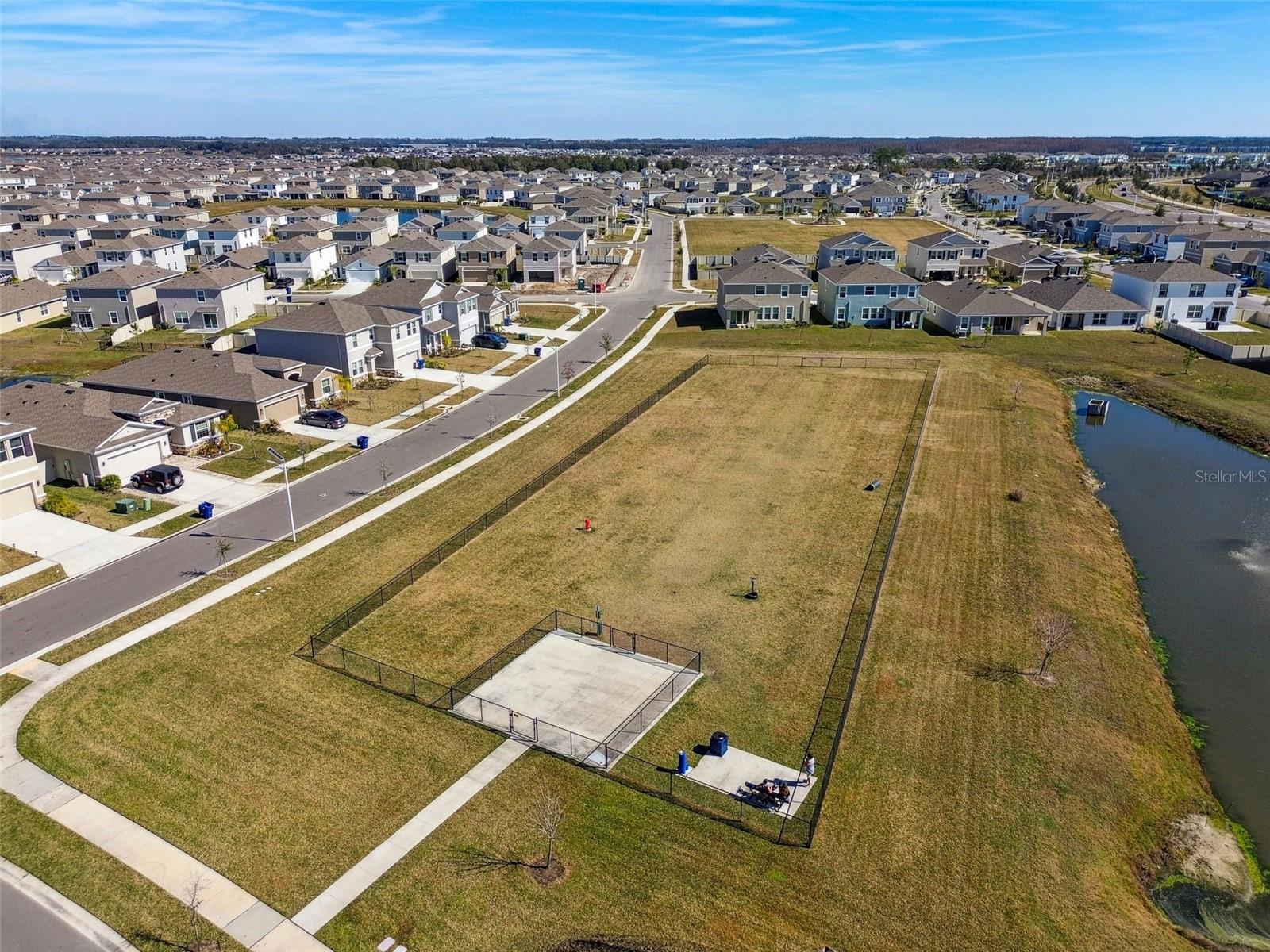 31378 PENNY SURF LOOP