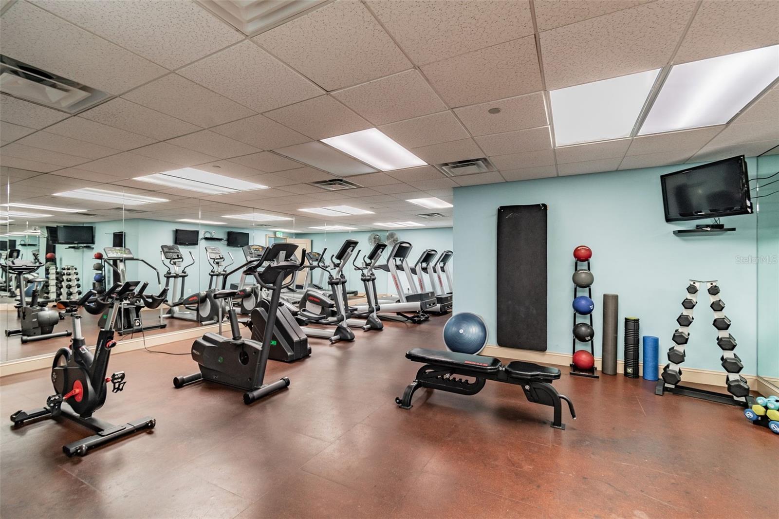 345 BAYSHORE BLVD #1206