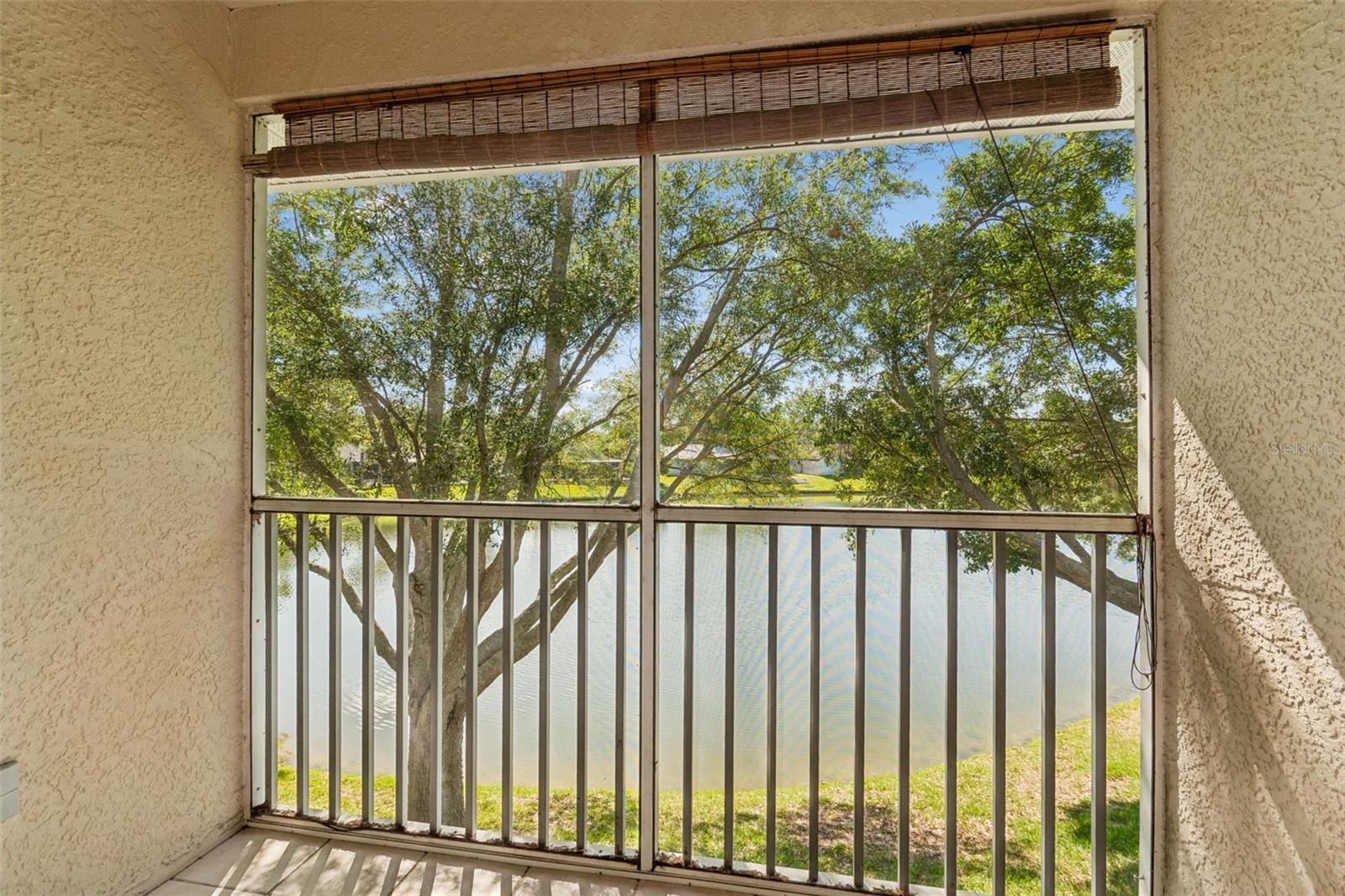 18529 PEBBLE LAKE CT