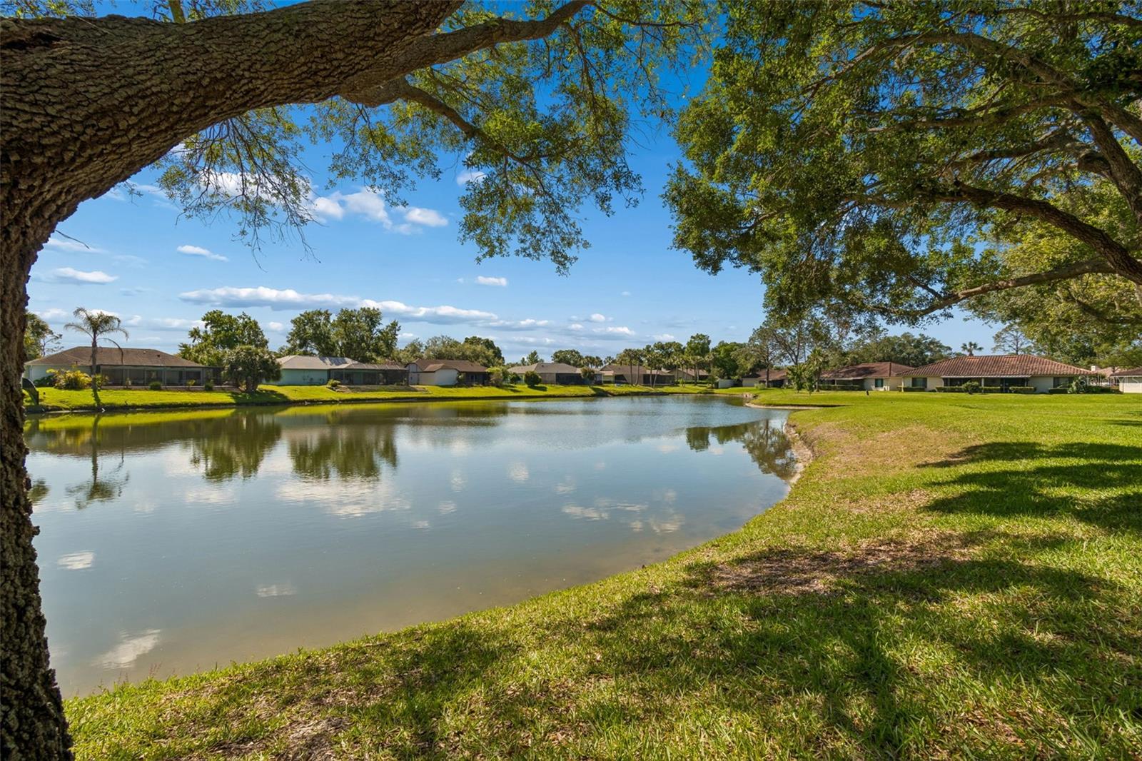 18529 PEBBLE LAKE CT