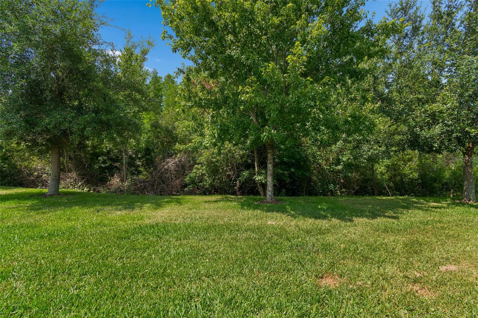 2213 HOLLOW FOREST CT