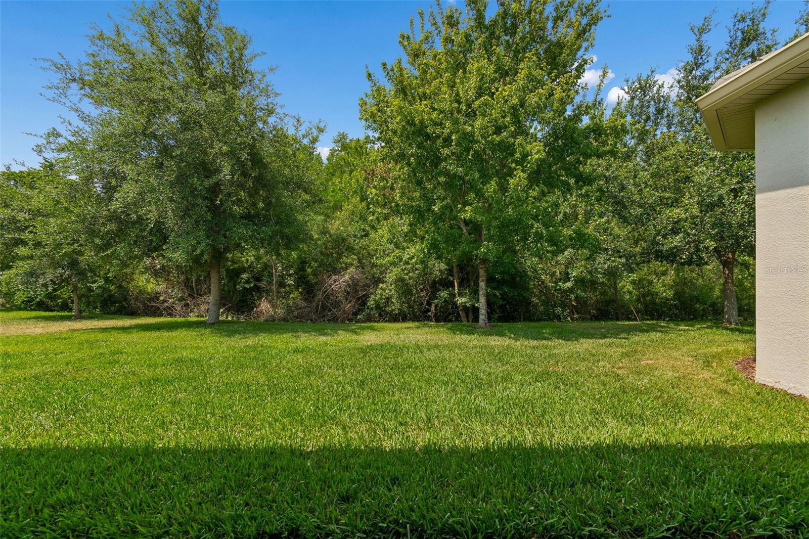 2213 HOLLOW FOREST CT