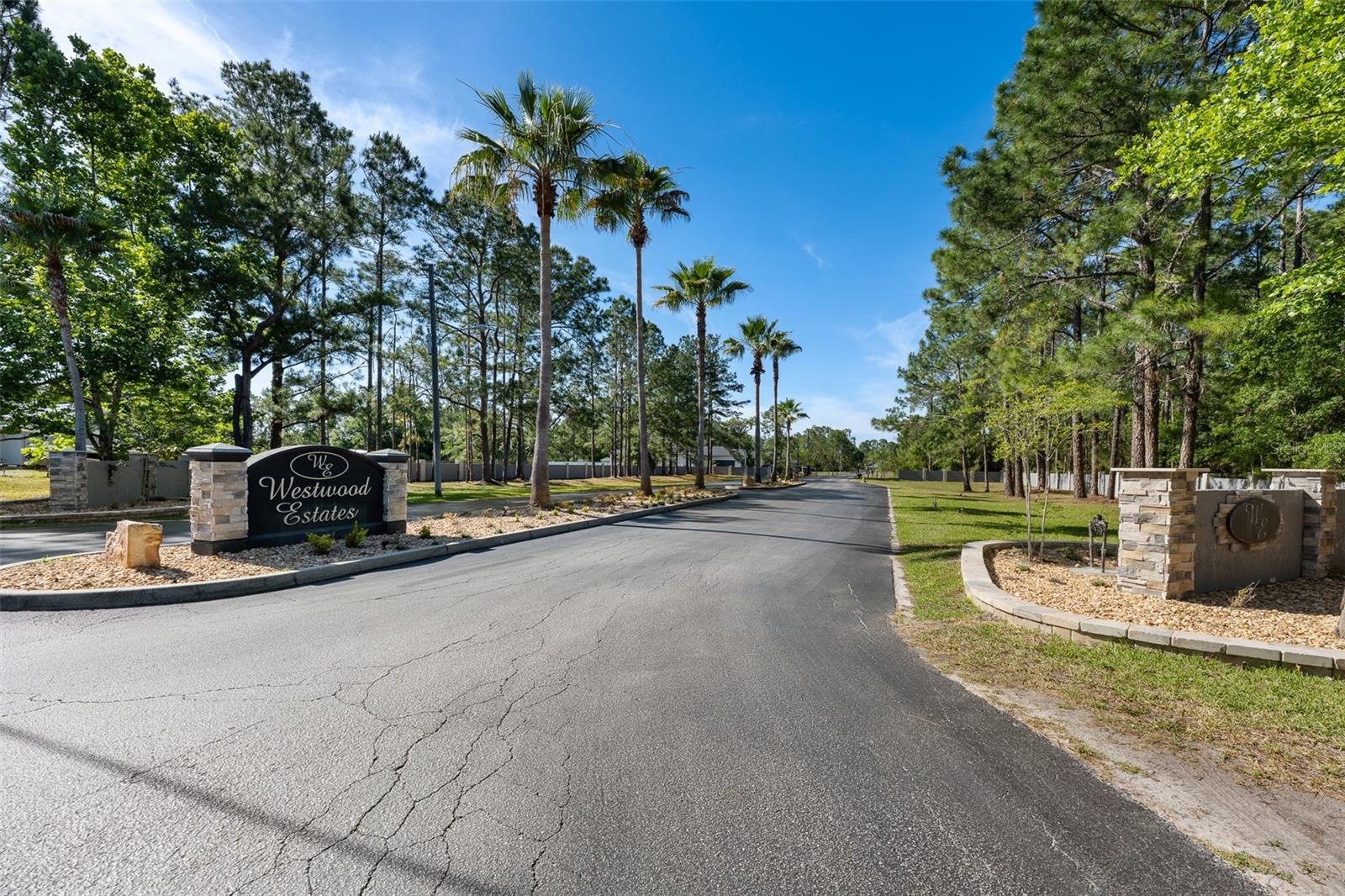 8224 SPRING FOREST LN