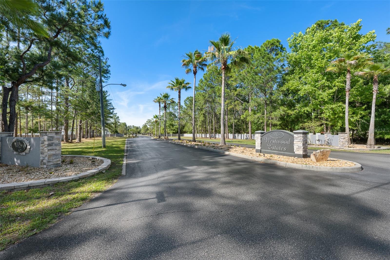 8224 SPRING FOREST LN