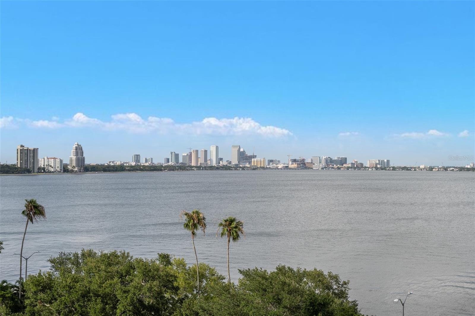 3507 BAYSHORE BLVD #701