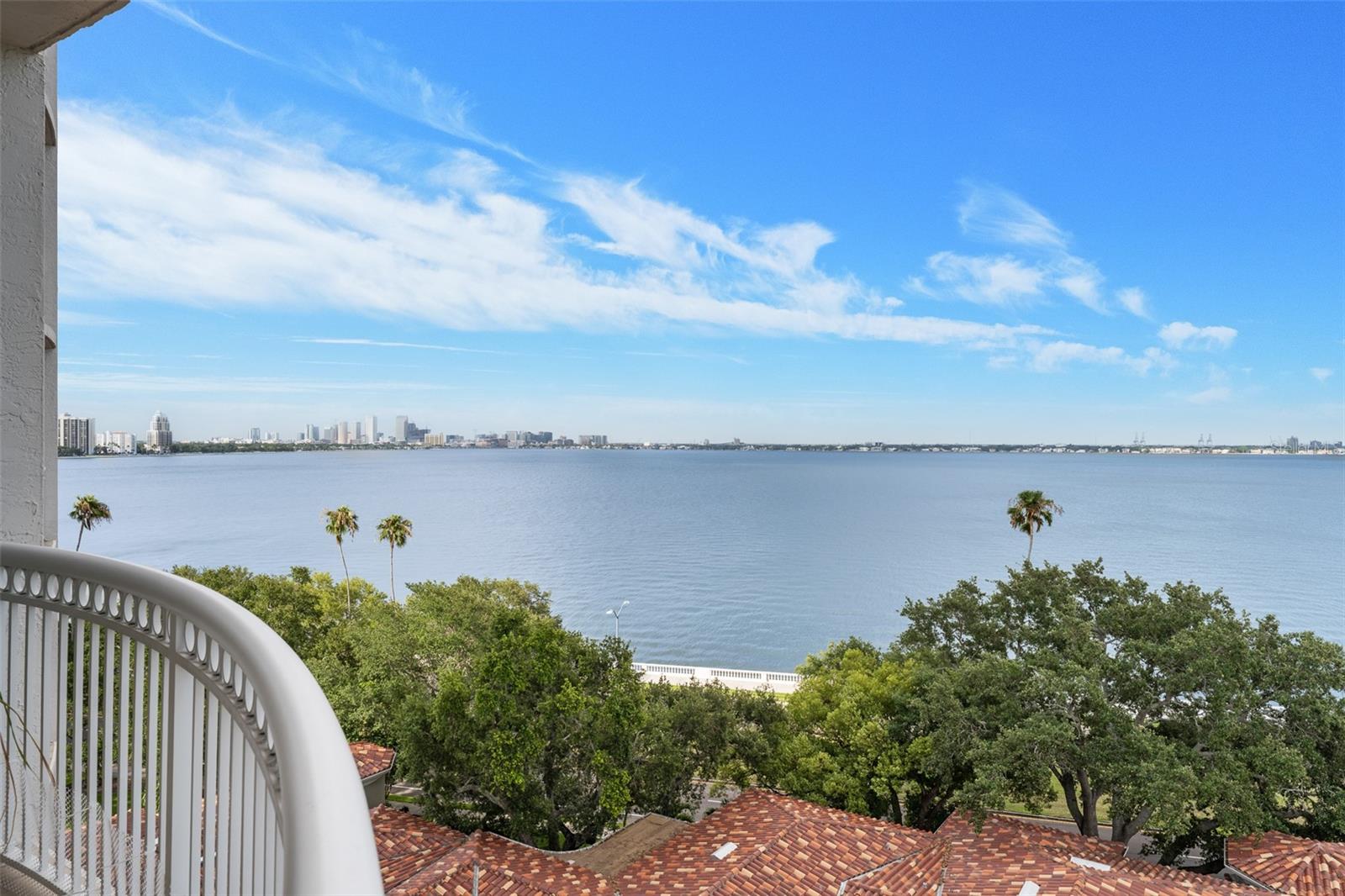 3507 BAYSHORE BLVD #701