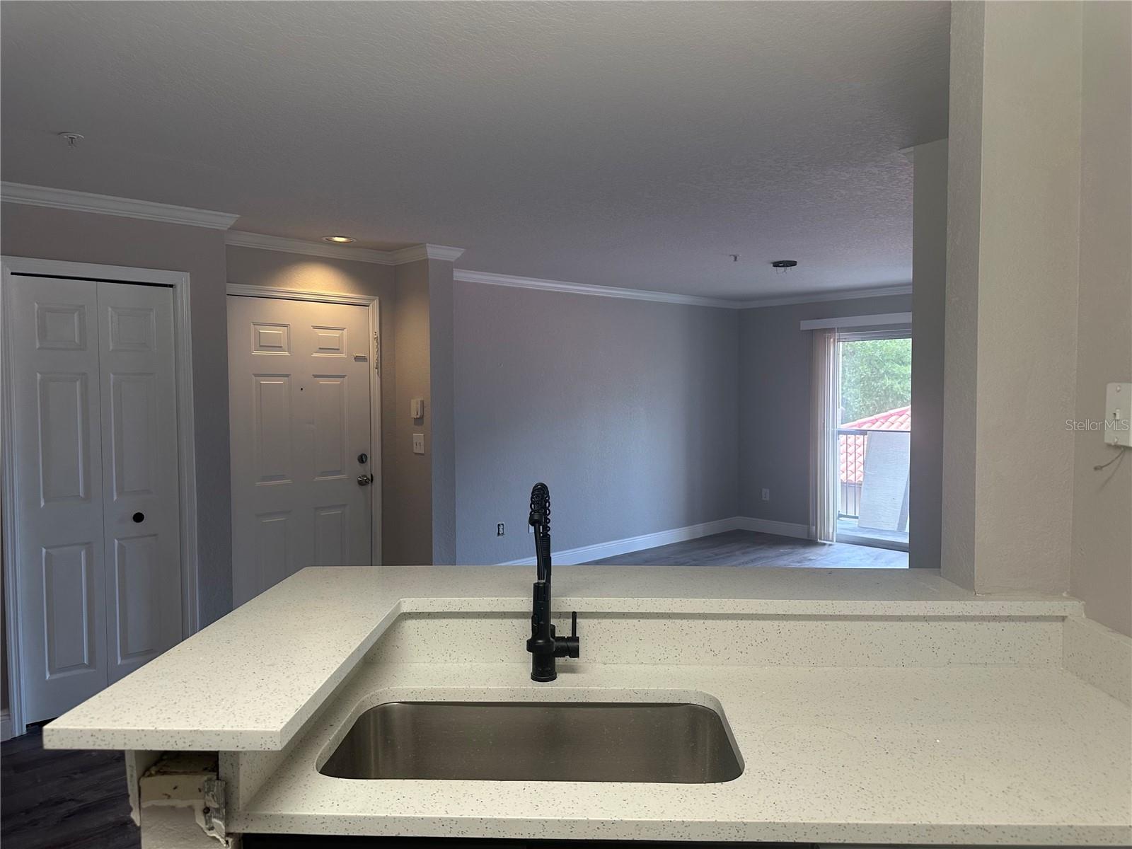 4209 WOODSTORKS WALK WAY #1205