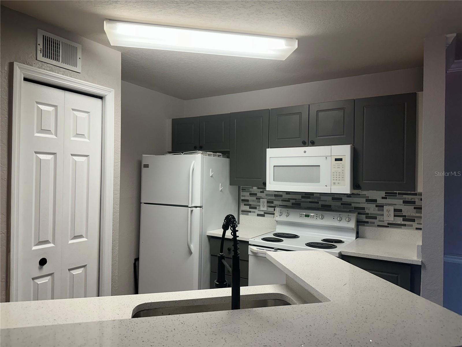 4209 WOODSTORKS WALK WAY #1205