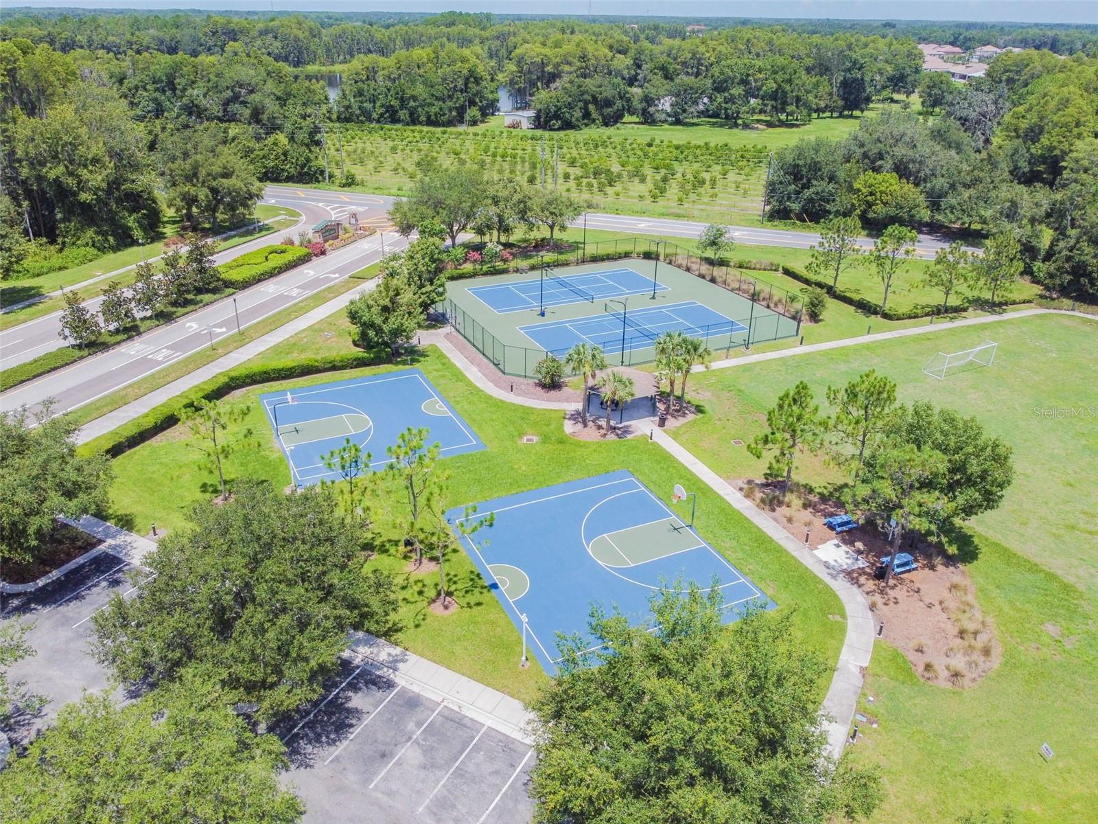6050 BLUE SAGE DR