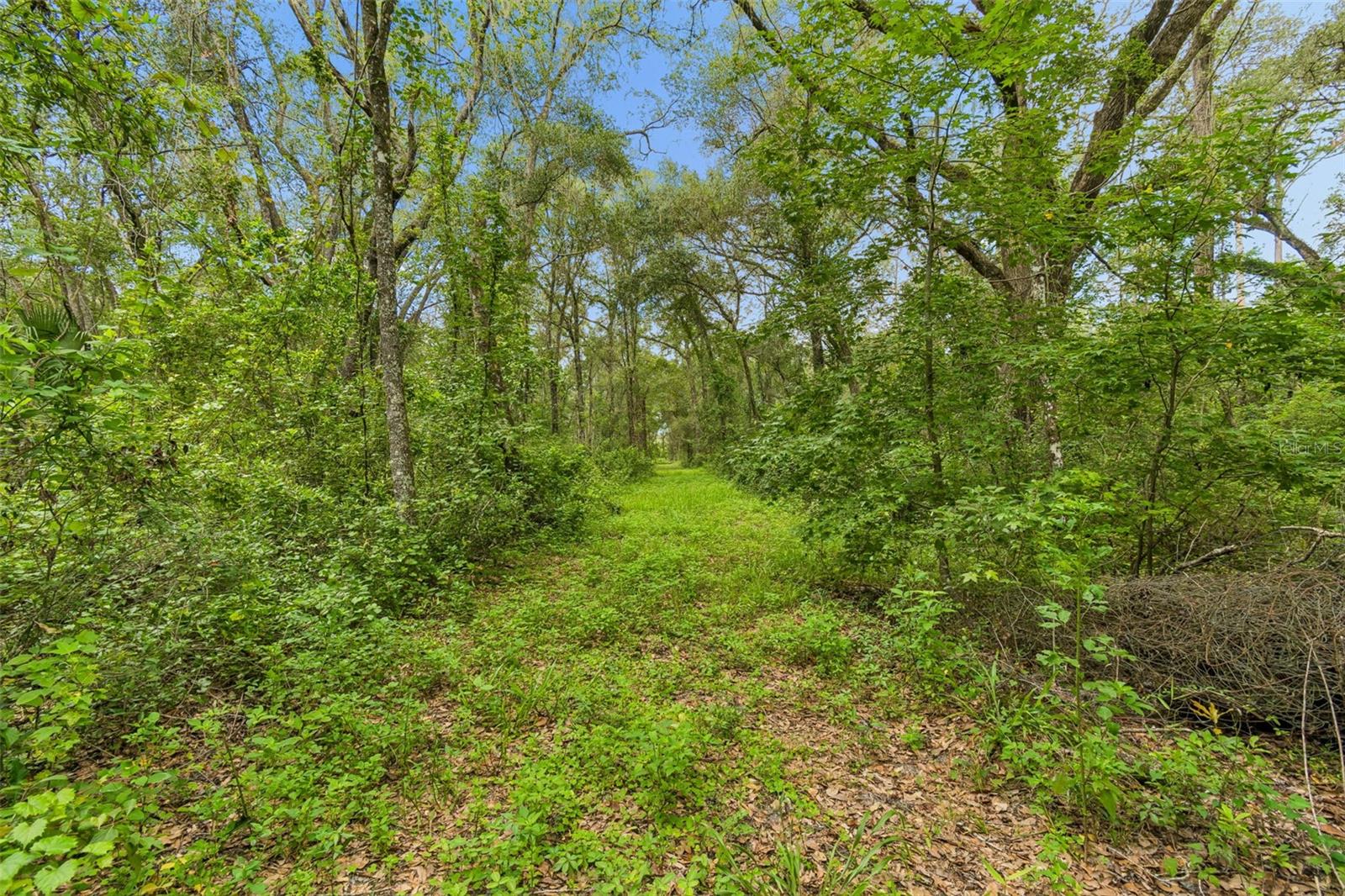 21835 VALHALLA WAY
