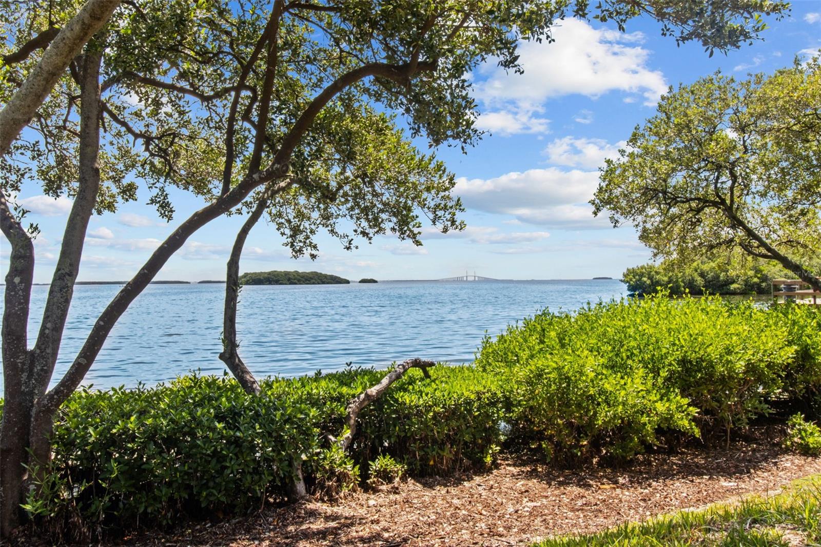 1515 PINELLAS BAYWAY S #65