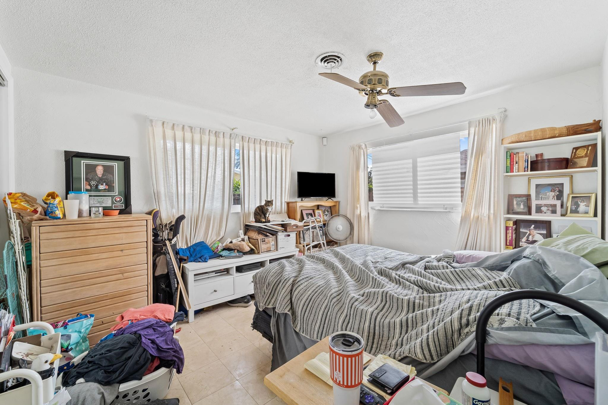 Cluttered bedroom with a striped bedspread, a ceiling fan, and a cat sitting near the television.