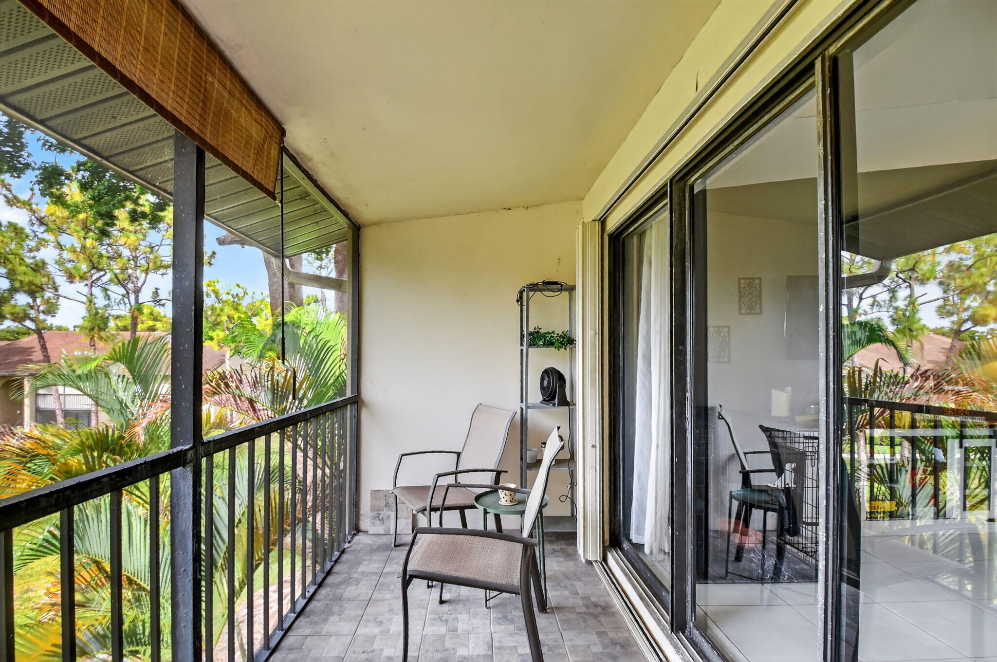 719 Sunny Pine Way C3